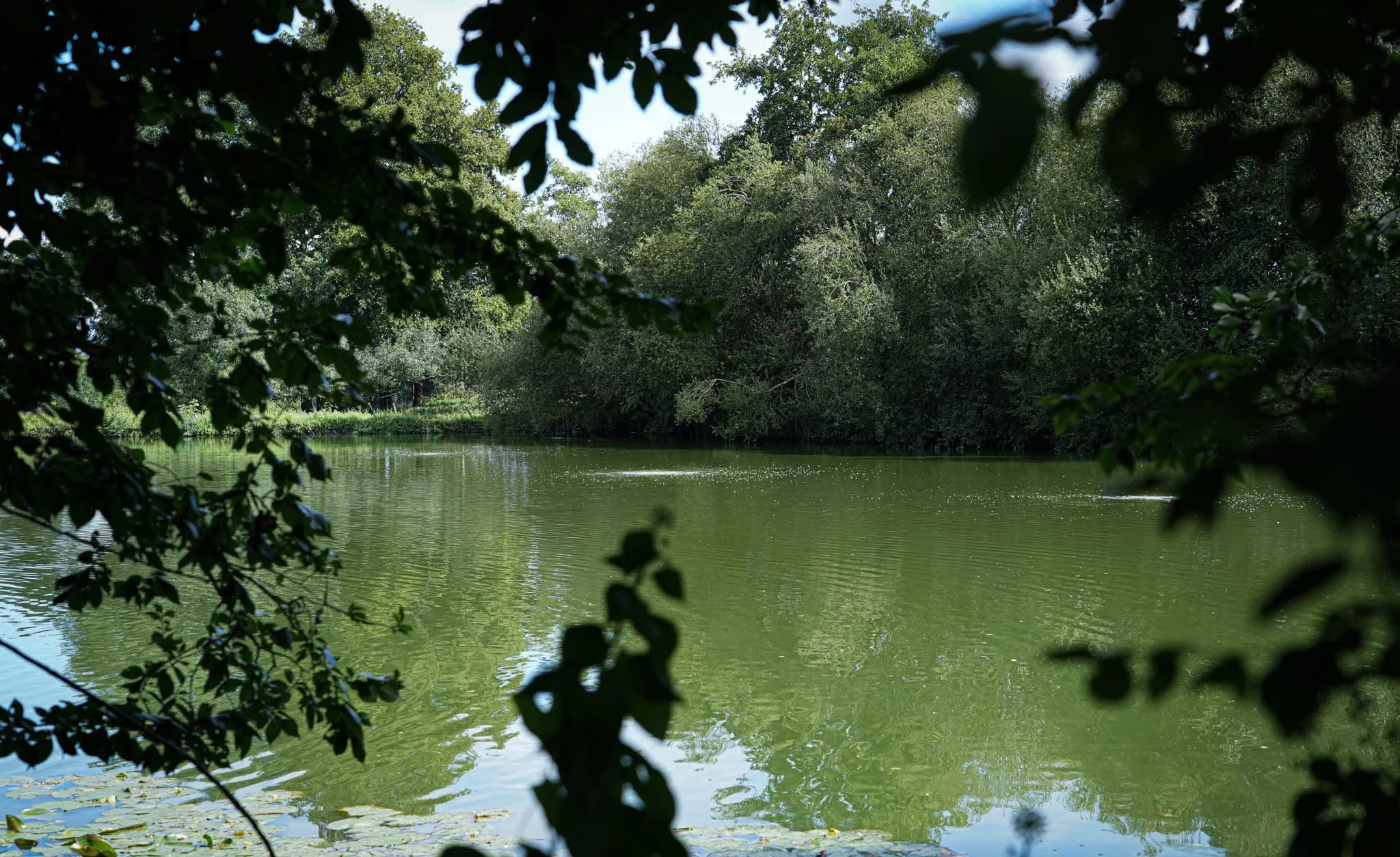 lake29.JPG