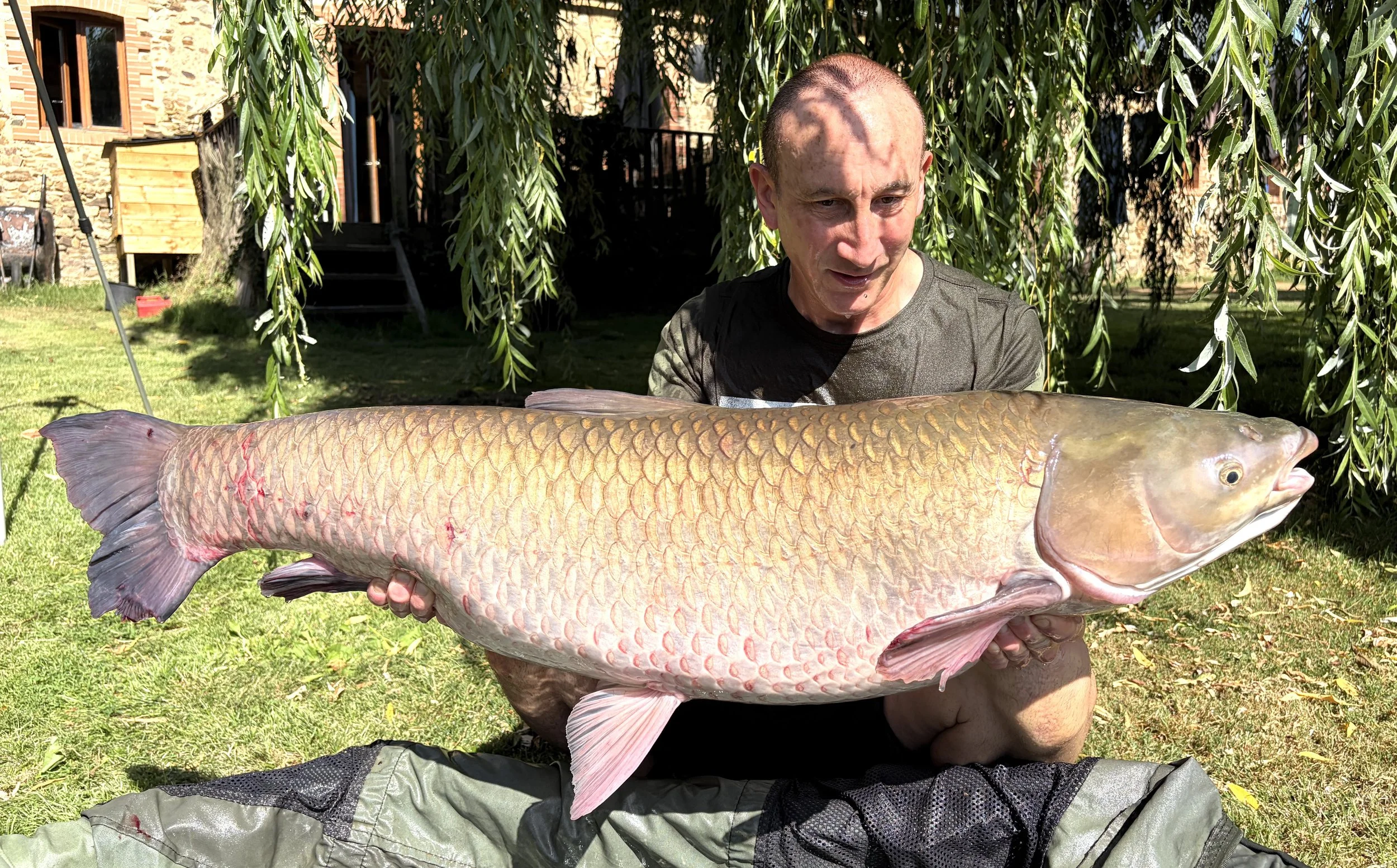 fish18.jpg