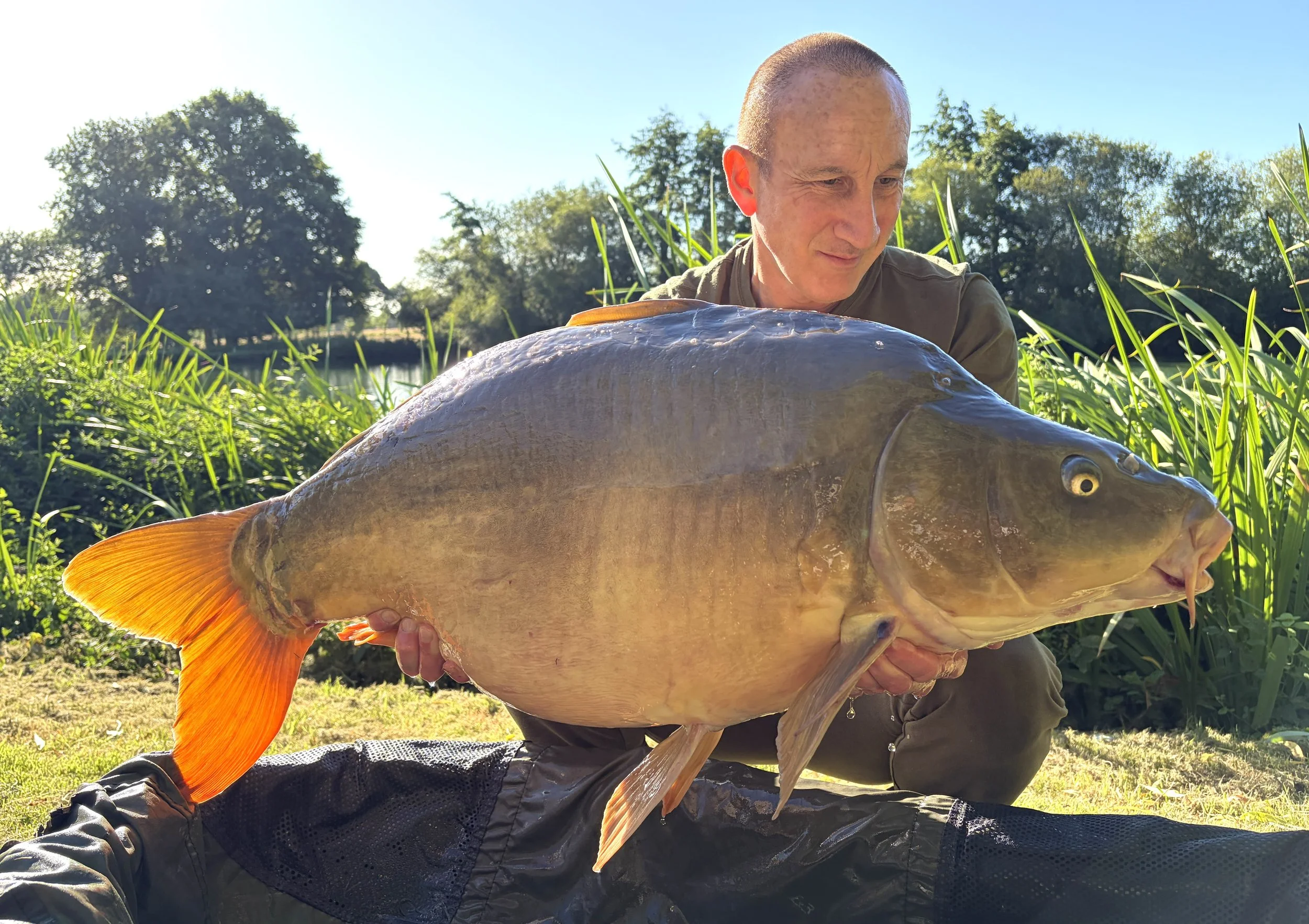 fish17.jpg