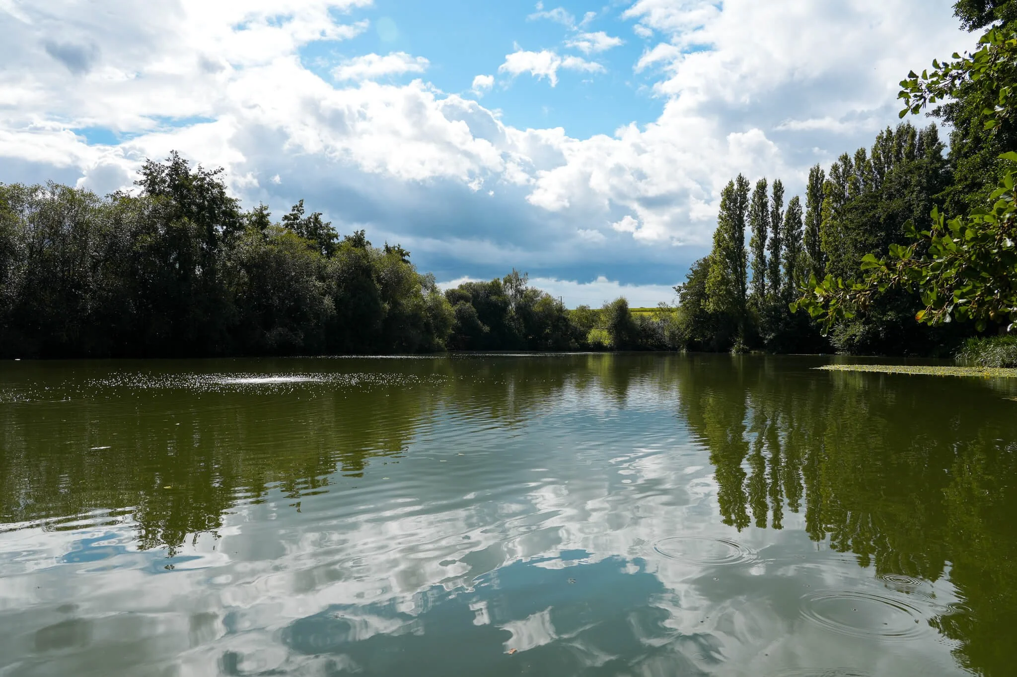 lake3.jpg