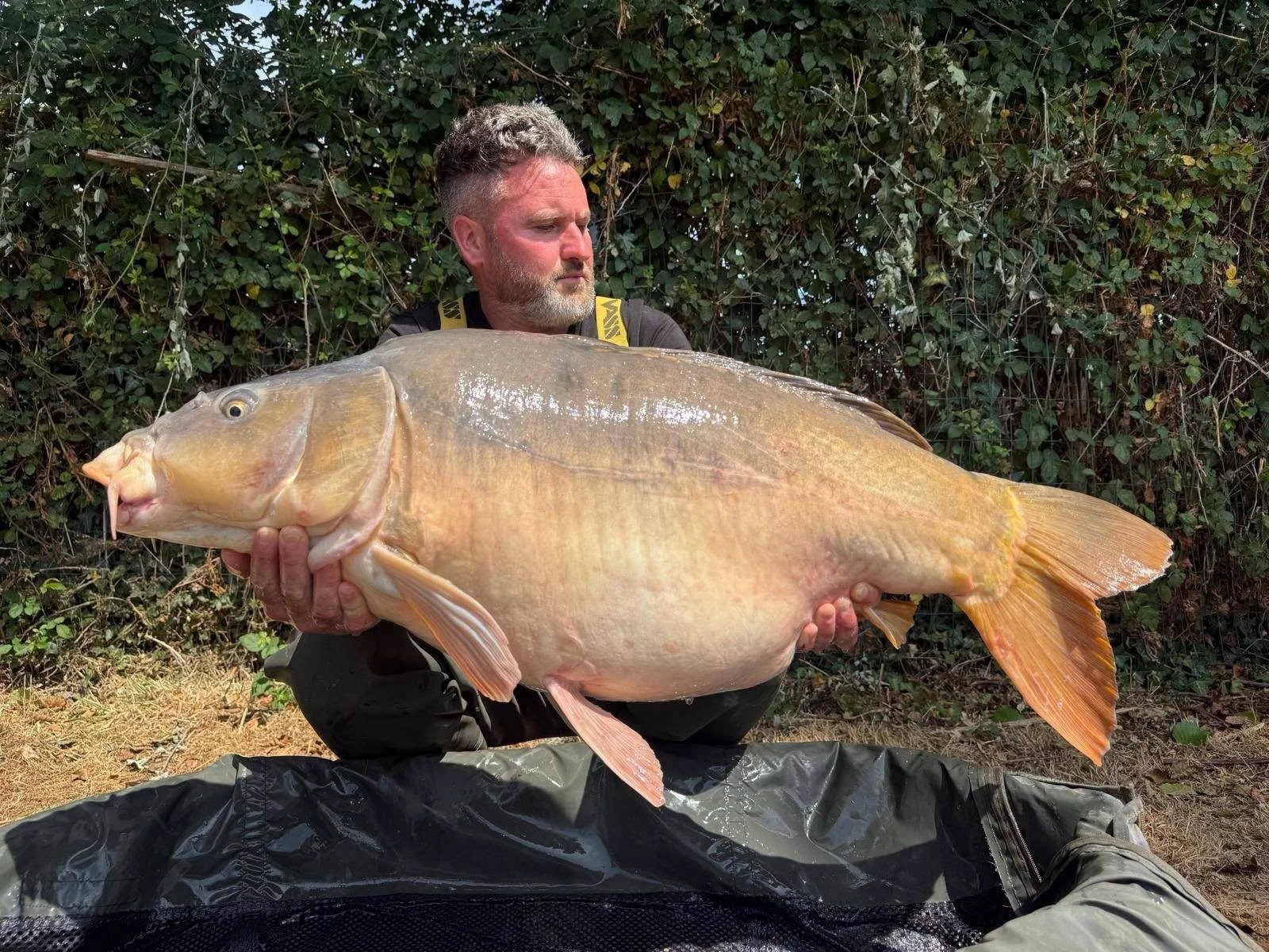 fish31.JPG