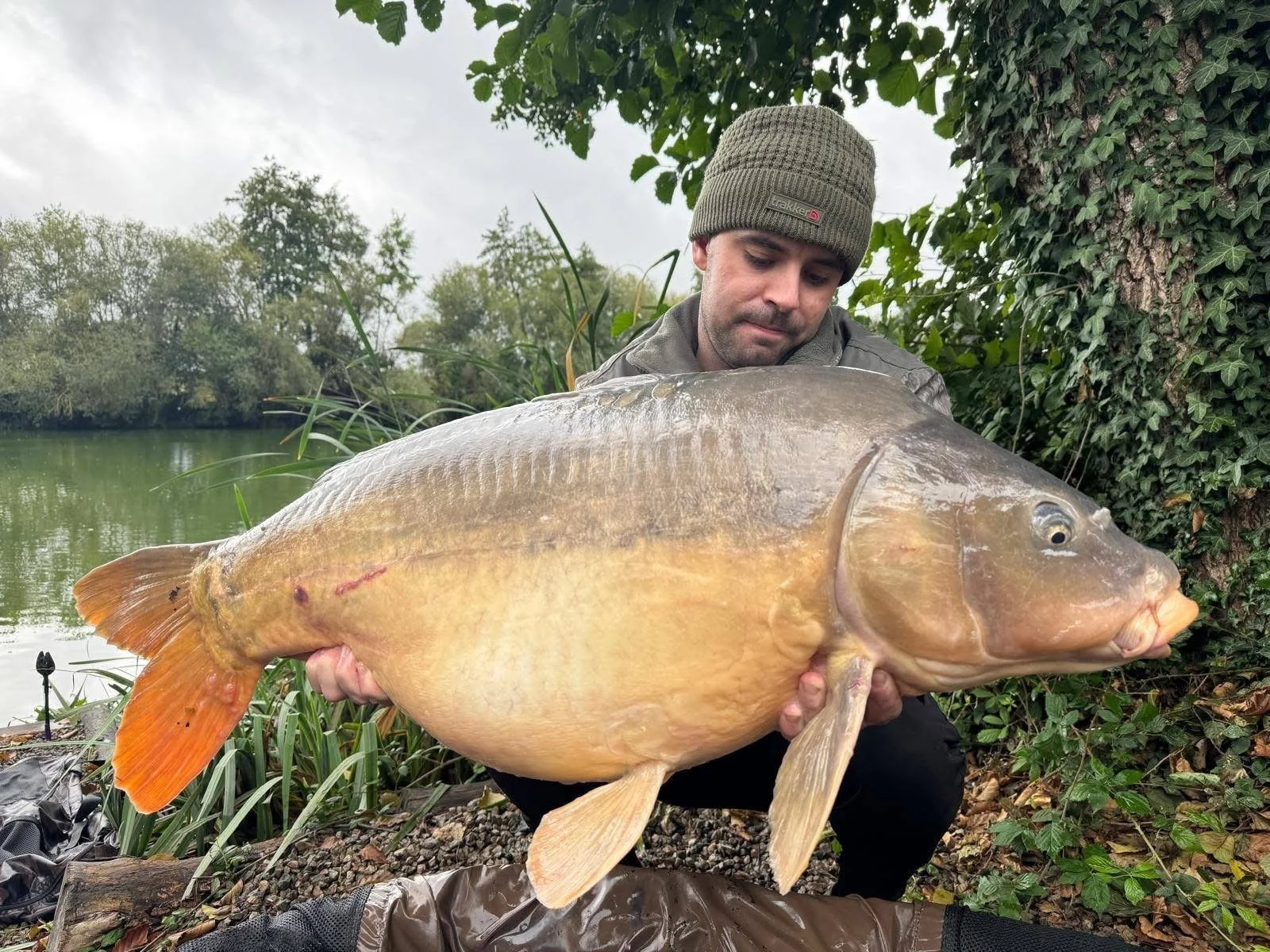 fish53.JPG