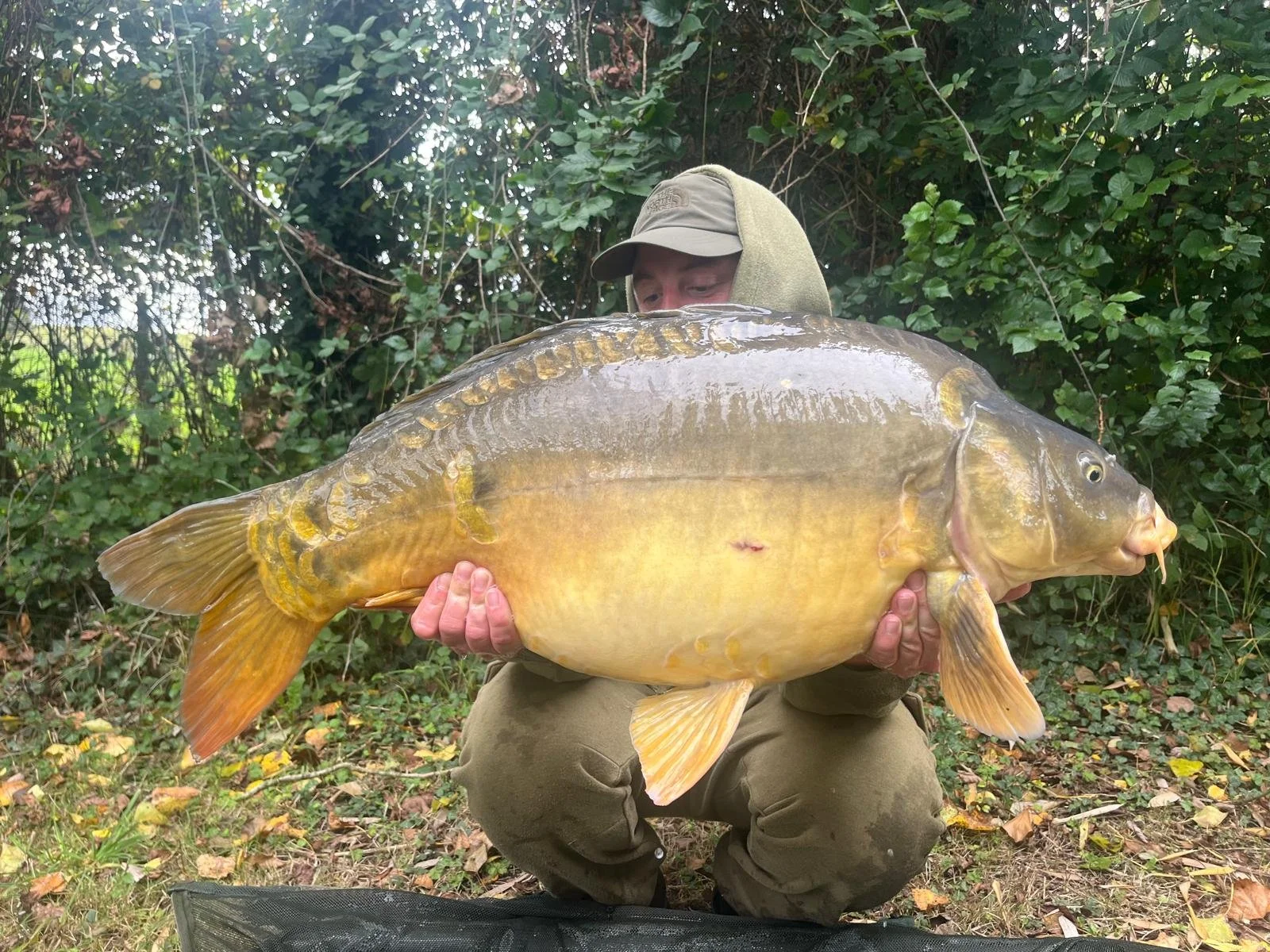 fish5.jpg
