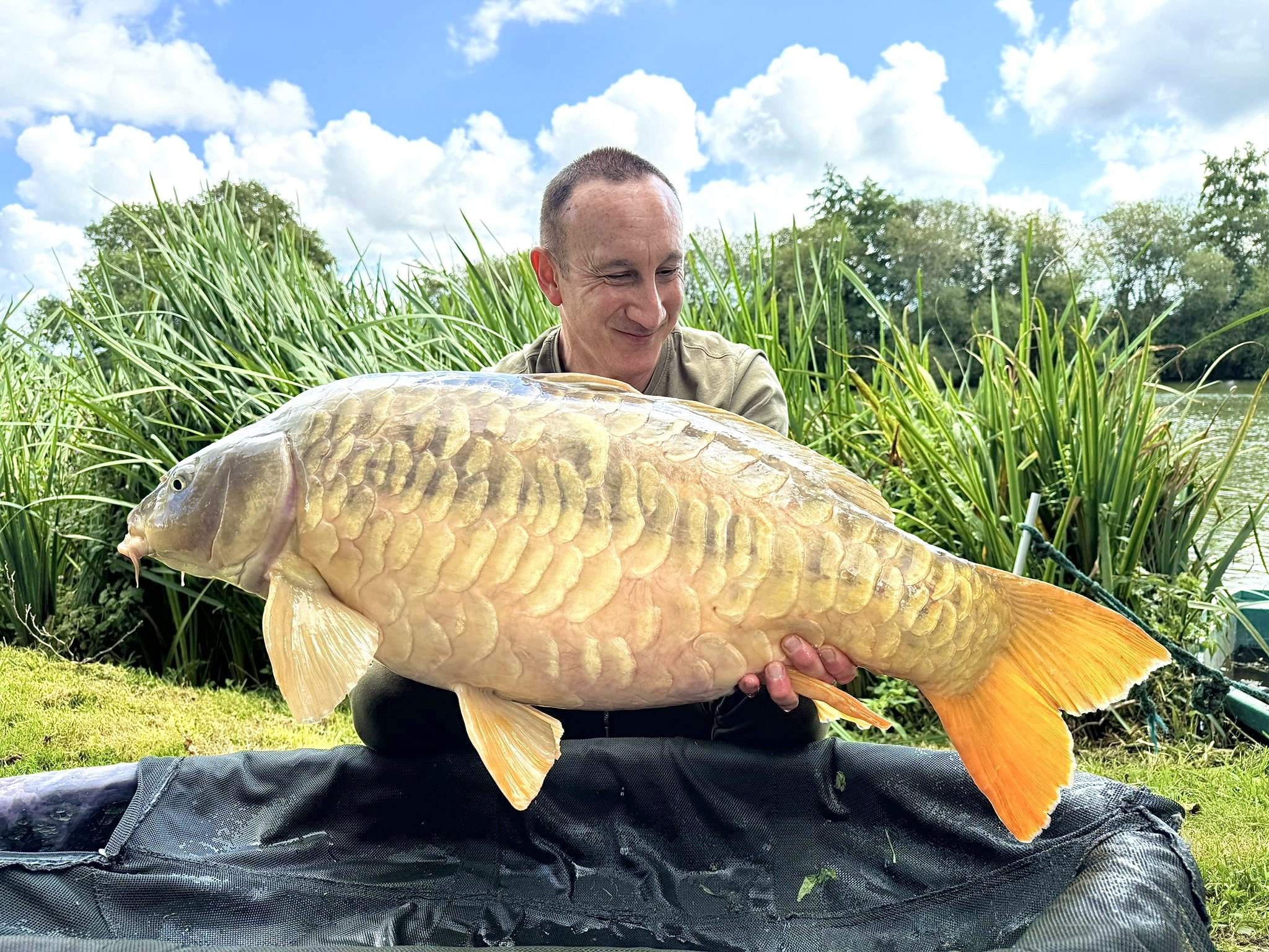 fish2.jpg
