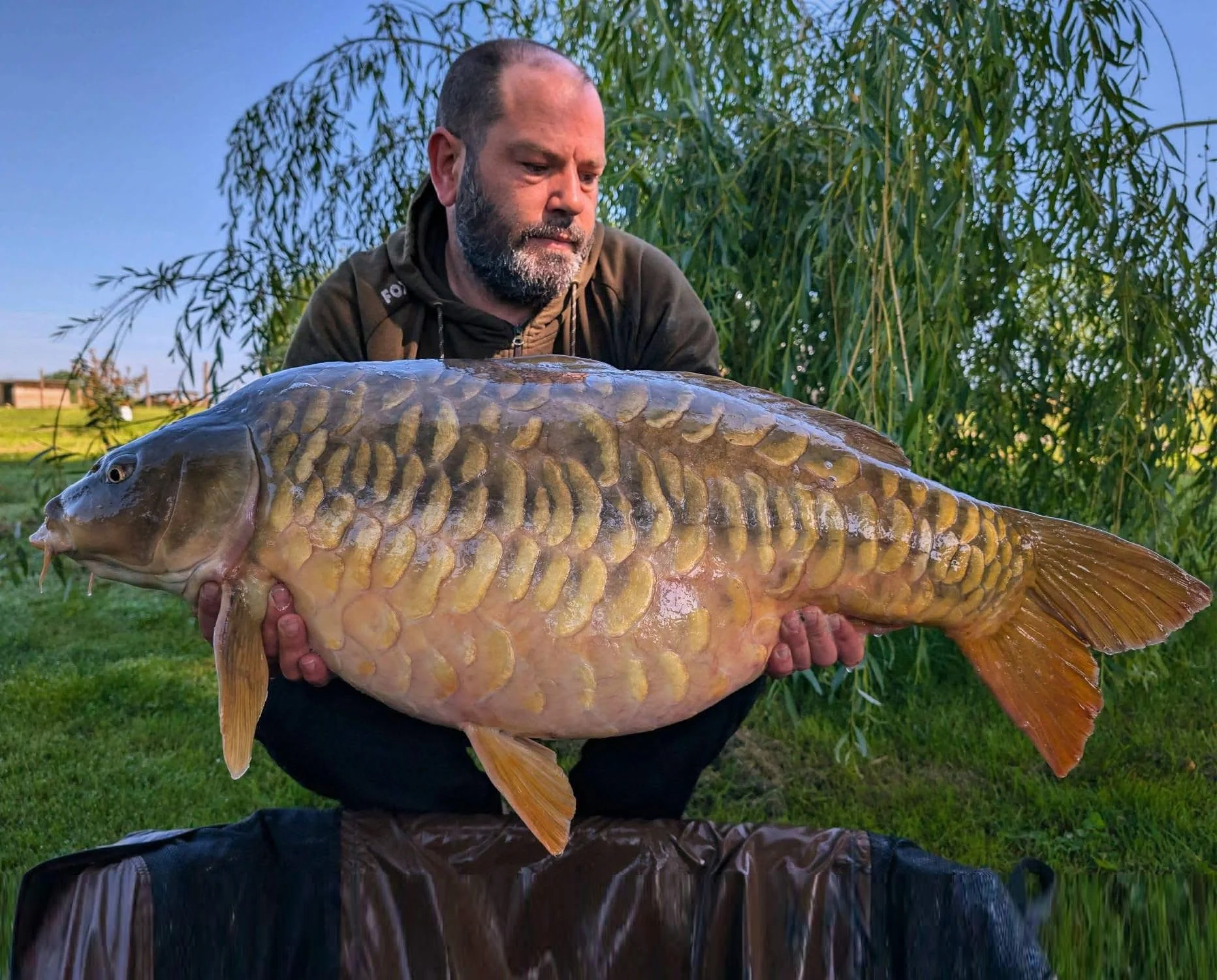 fish29.JPG
