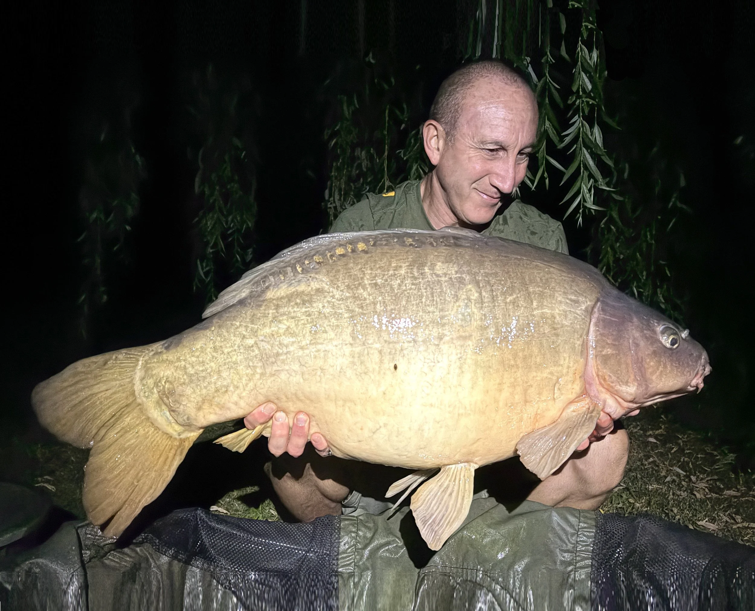 fish19.jpg