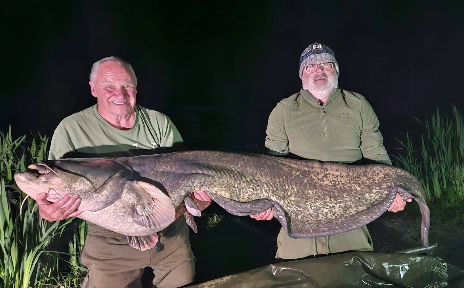 fish52.JPG
