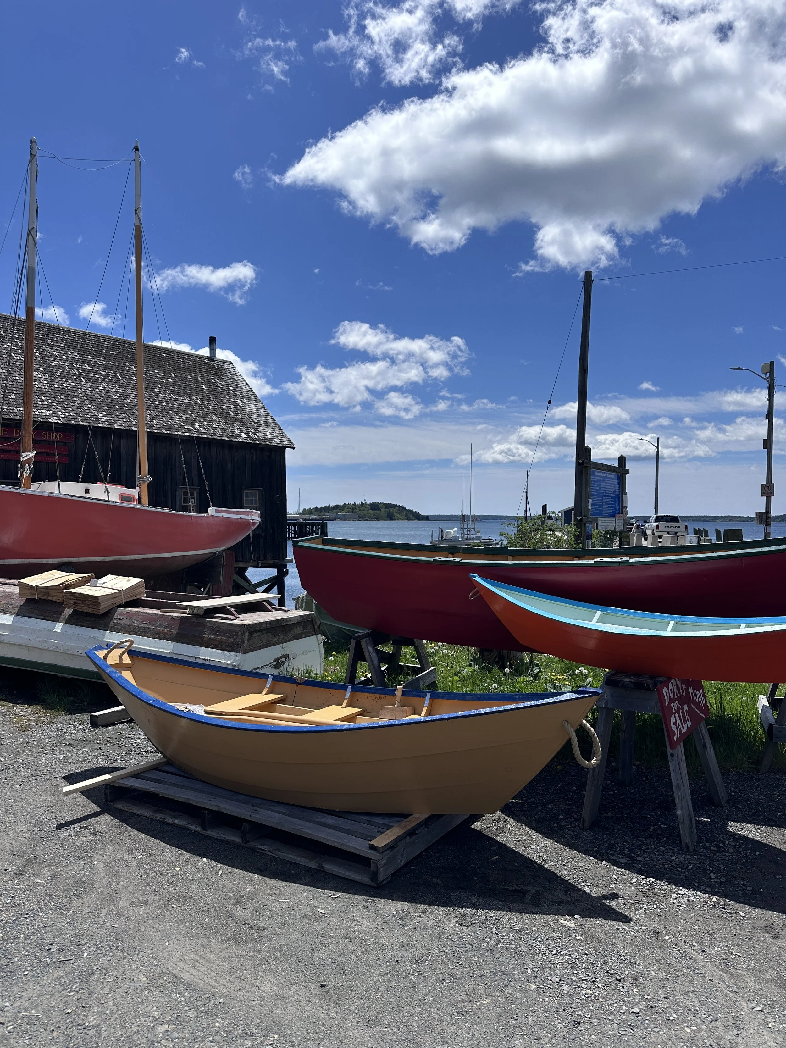 11’ Little Sister Dory