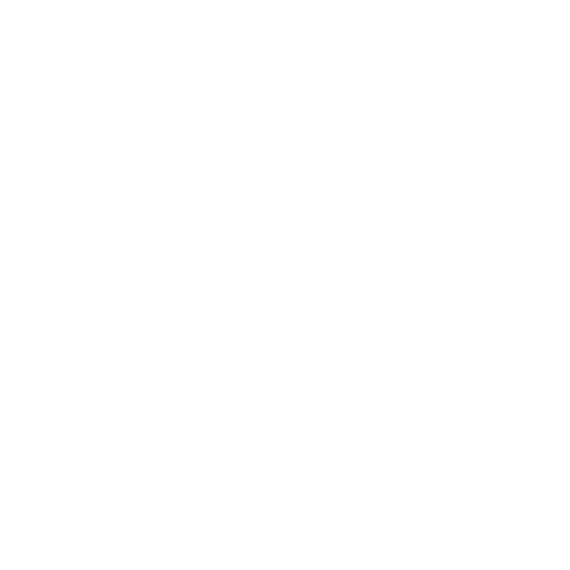 house icon