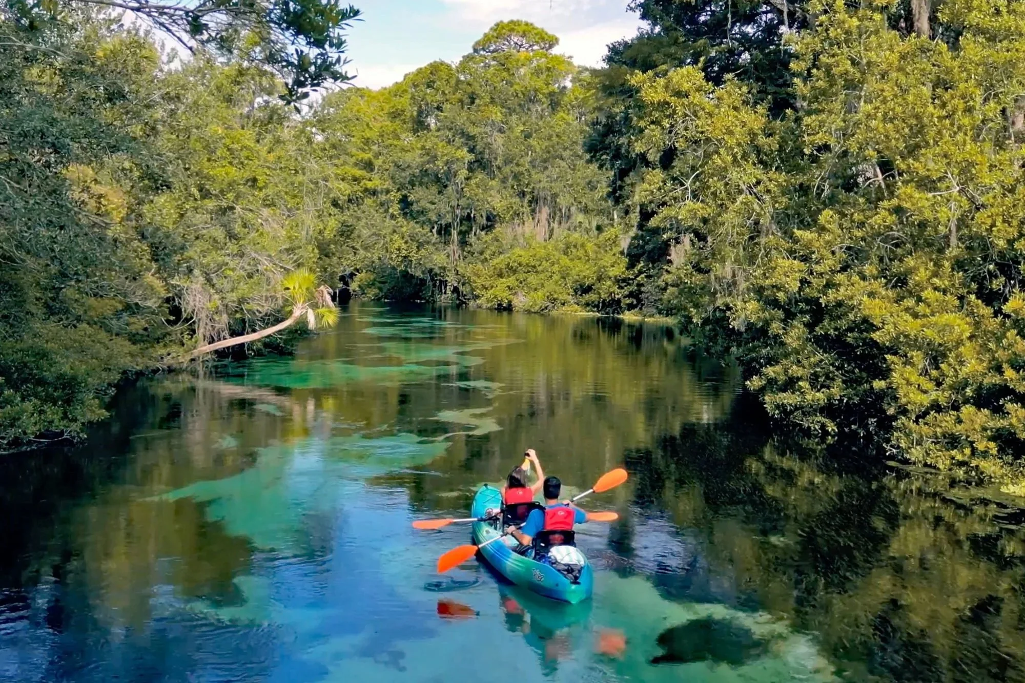 Kayakers on a river