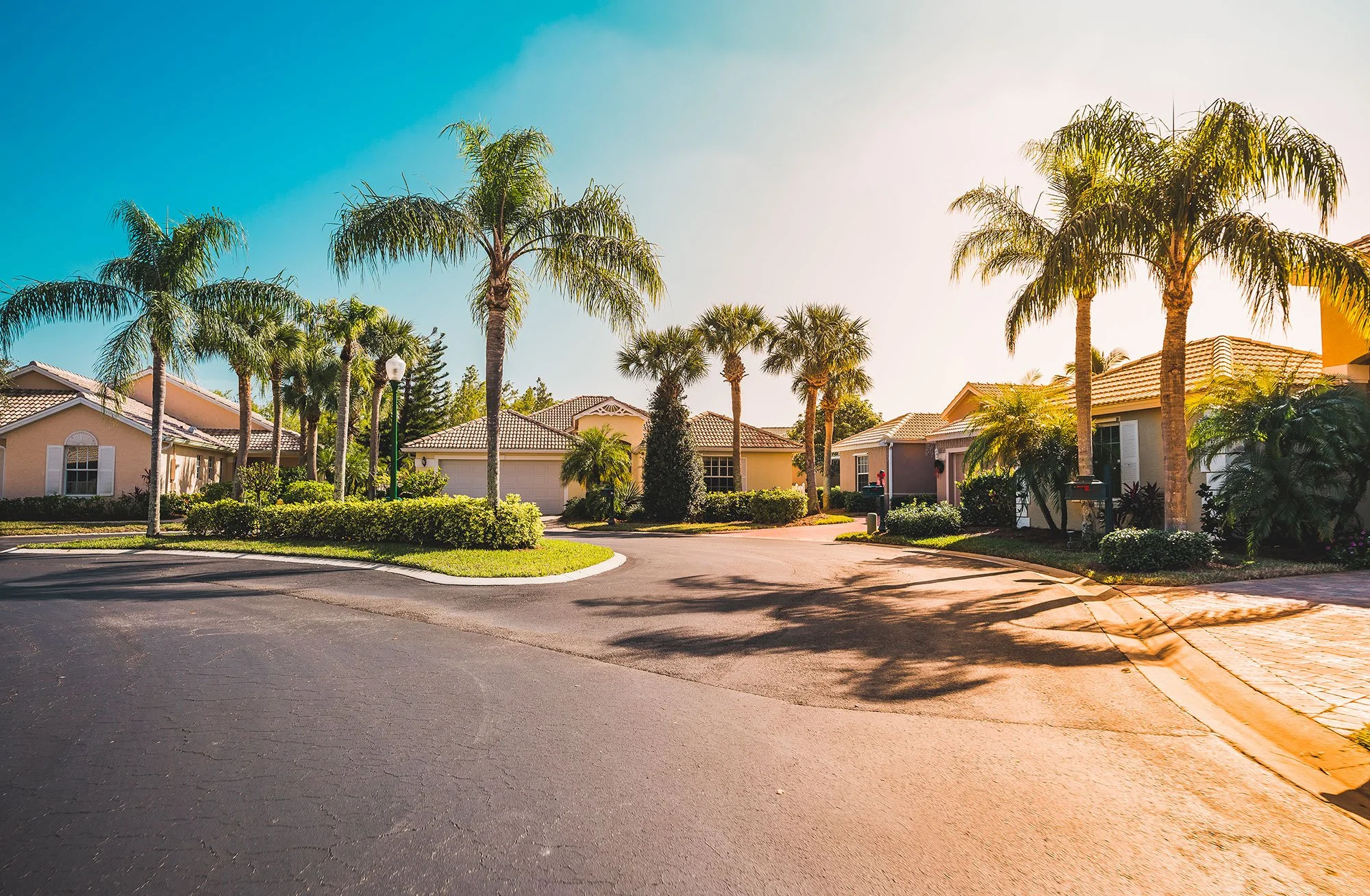 houses in a Florida neighborhood