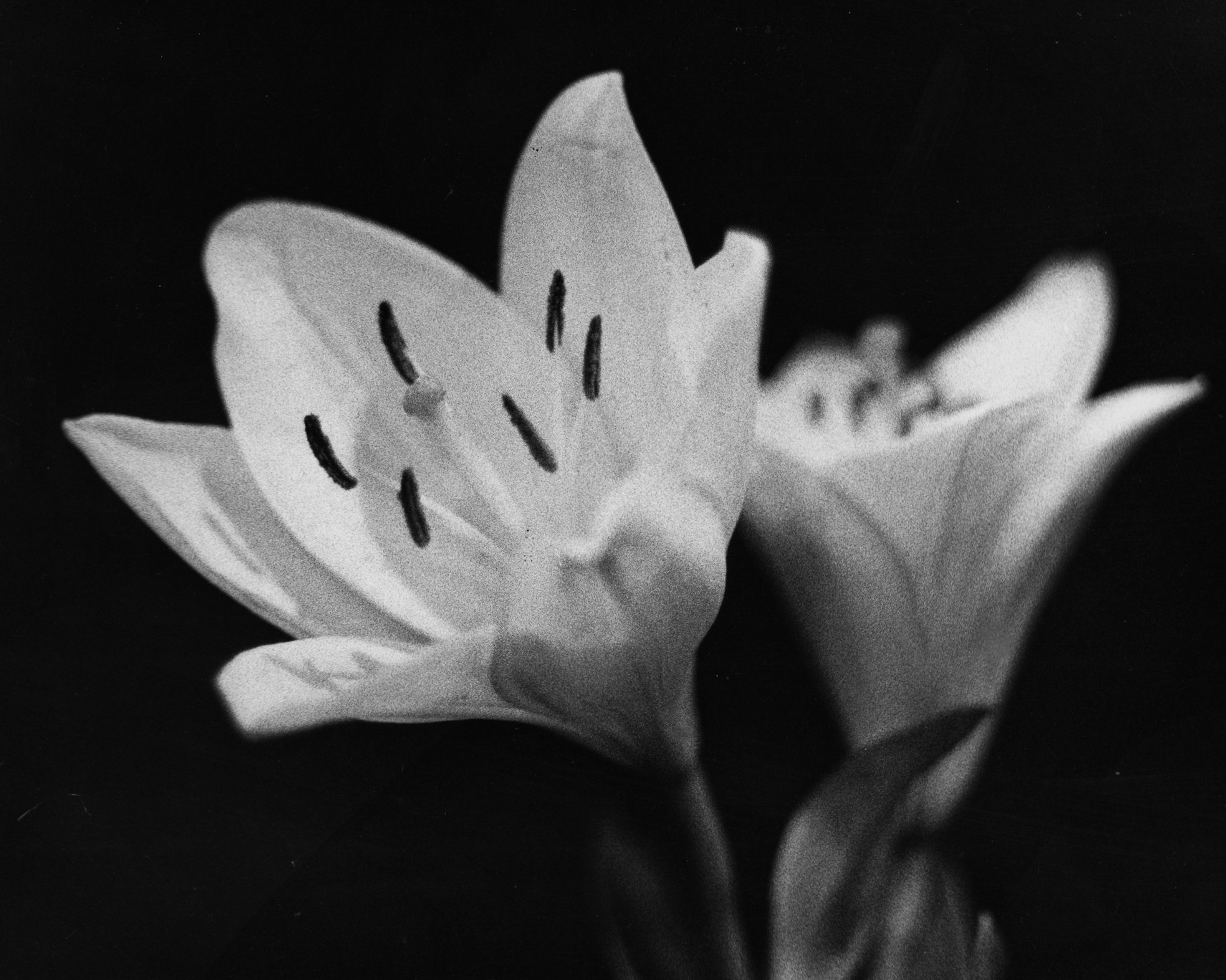 image001 (1).jpg