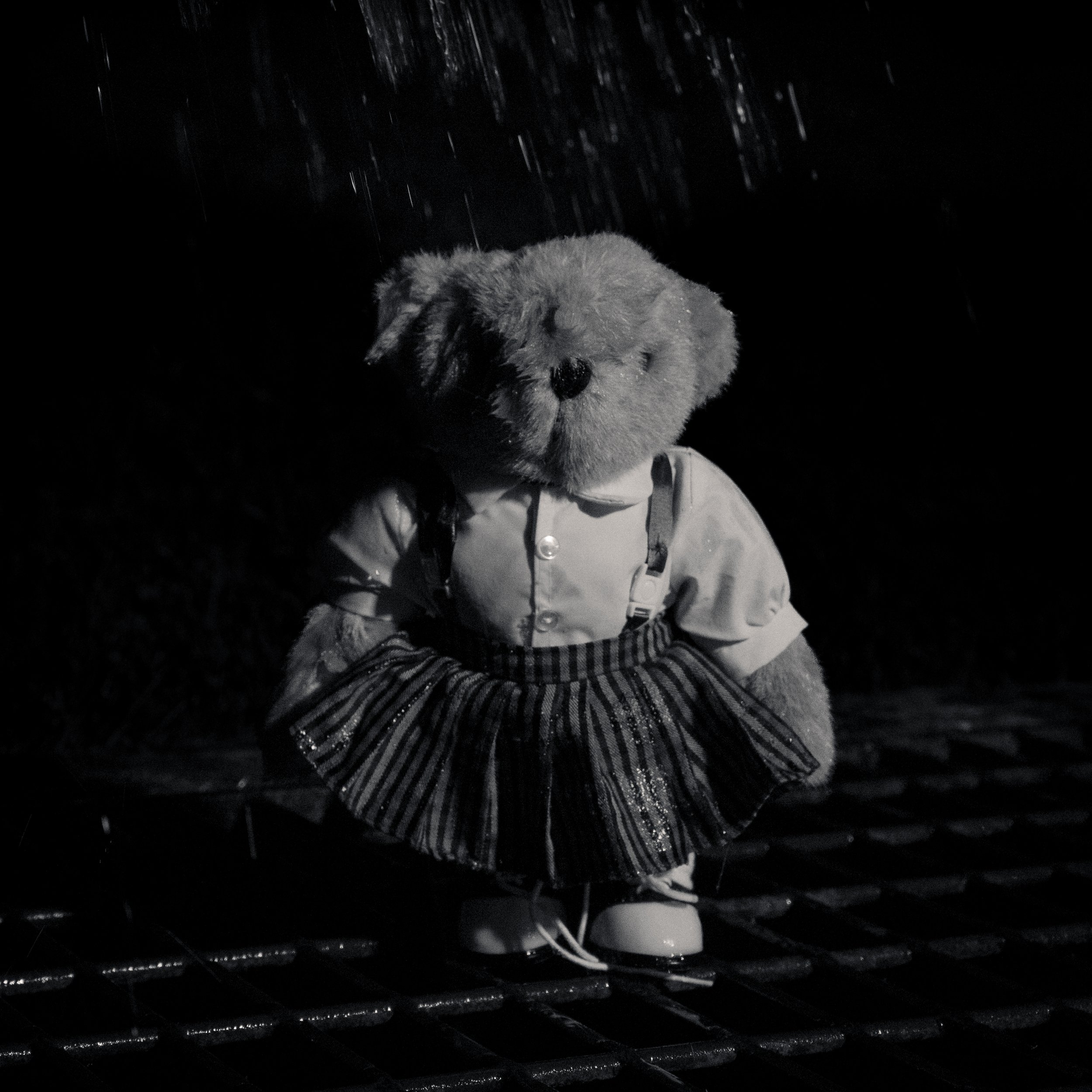 bears_at_night-1.jpg