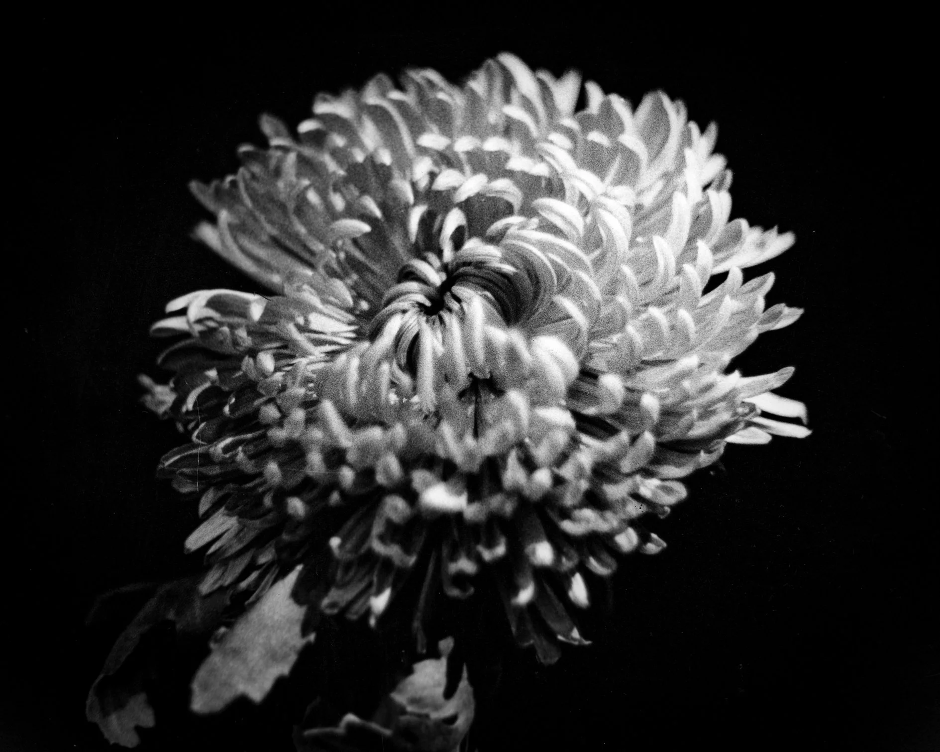 image002.jpg