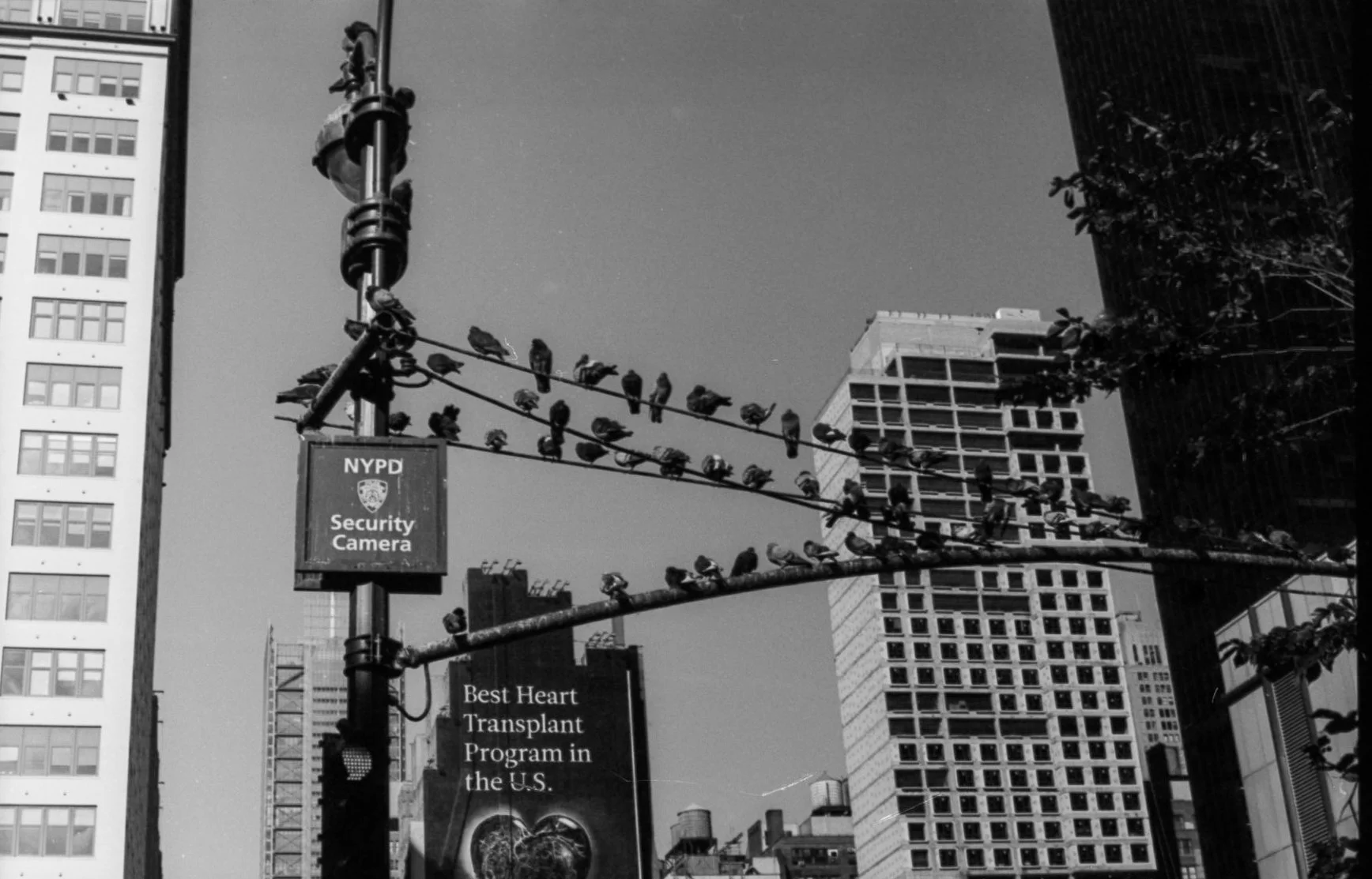 nyc_oct_2025_13.jpg