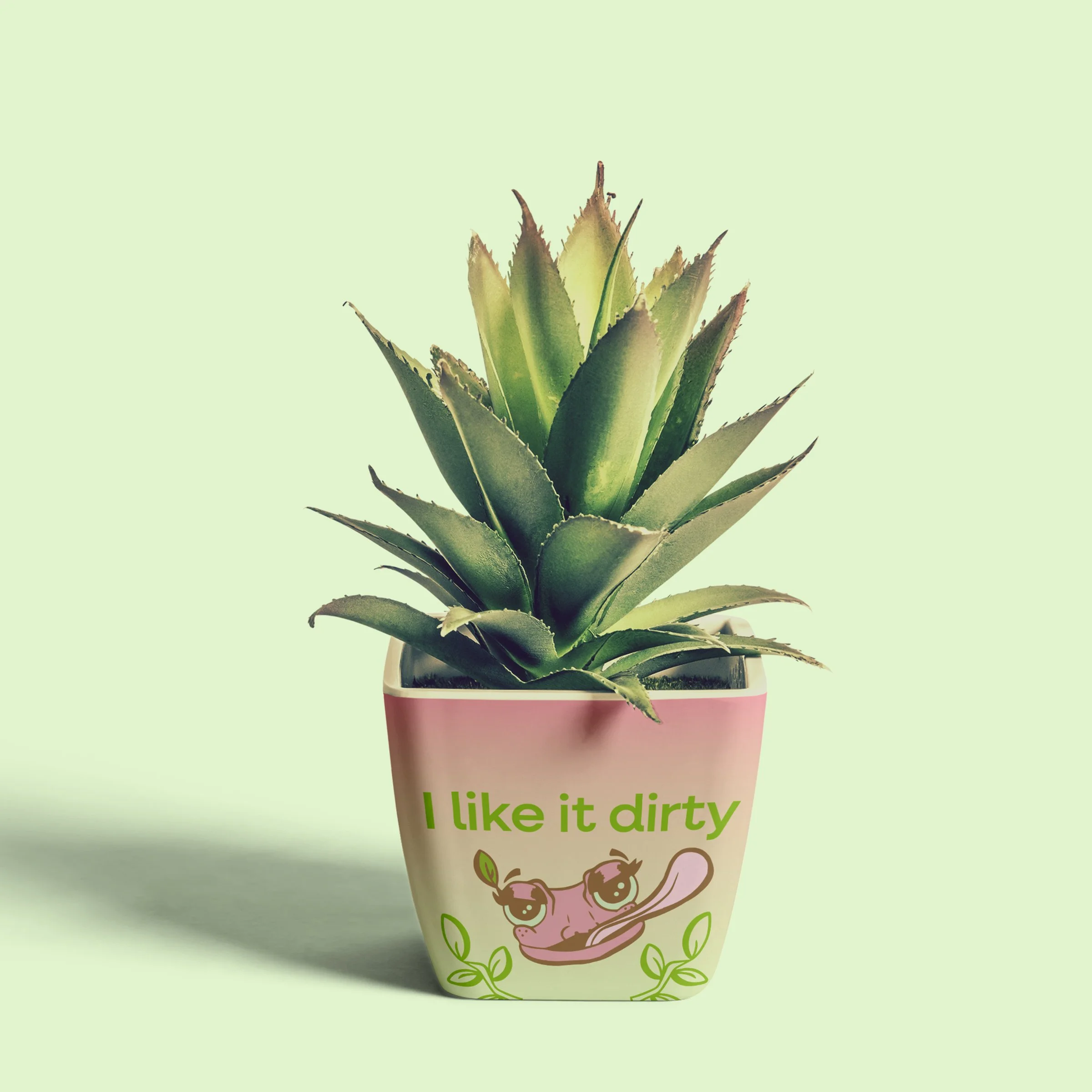 plant.jpg