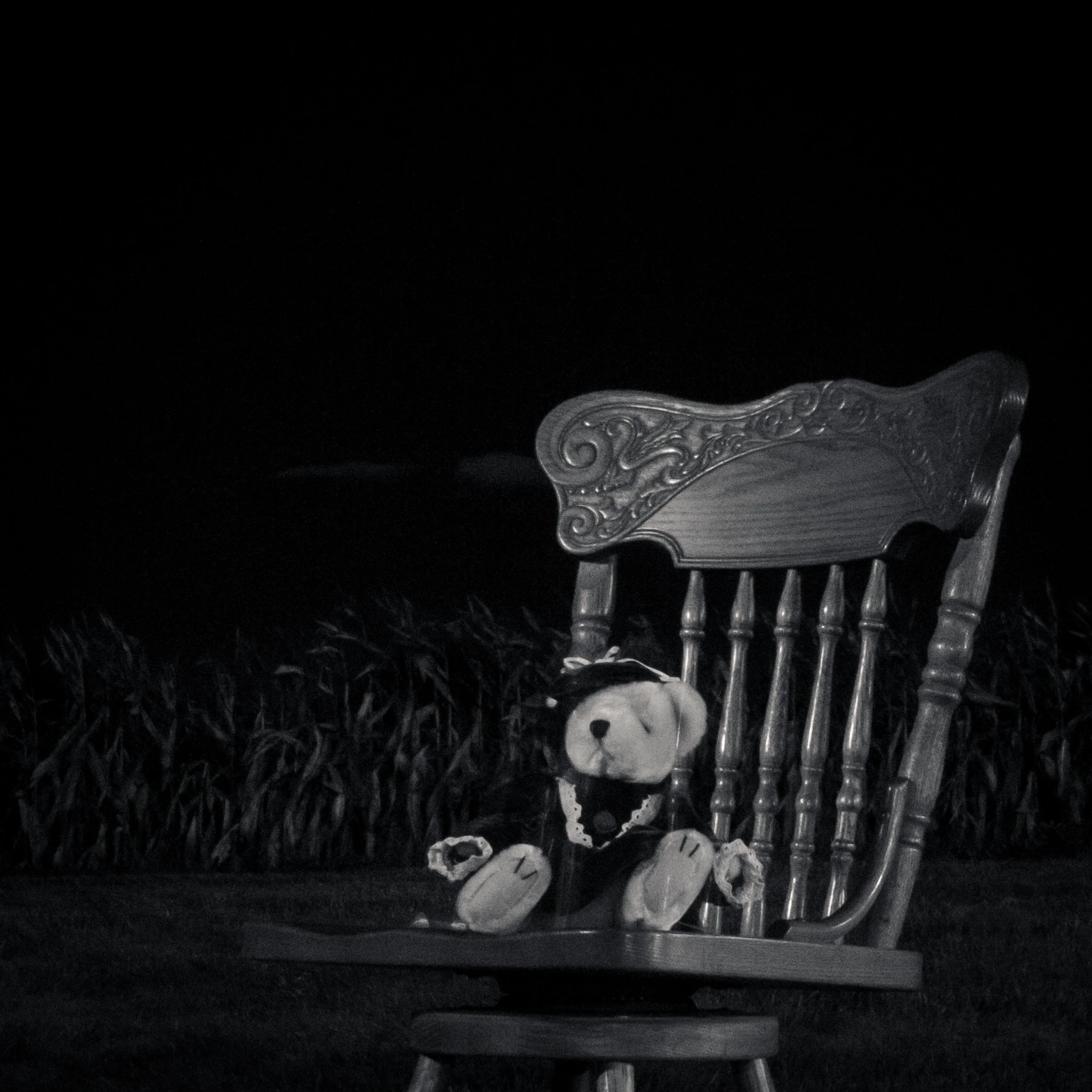 bears_at_night-3.jpg