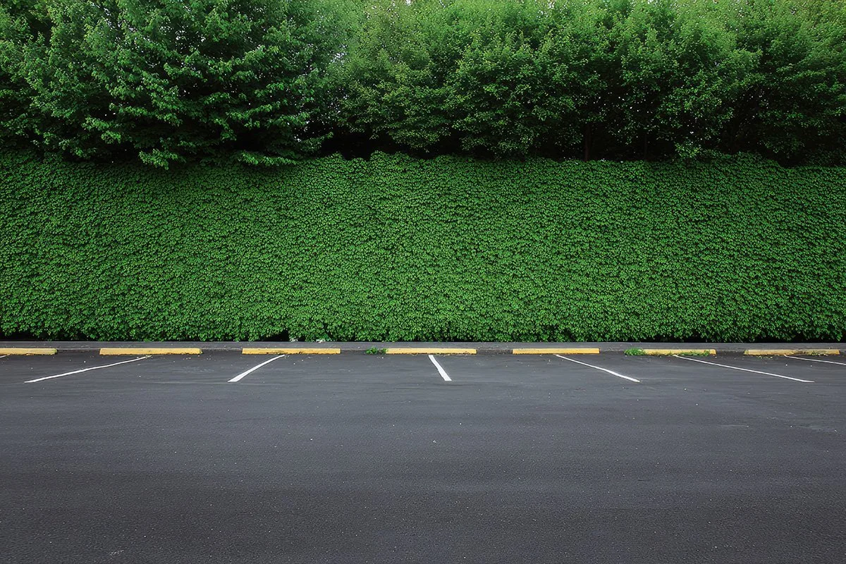 Empty parking lot in front of a tall green hedge and trees.