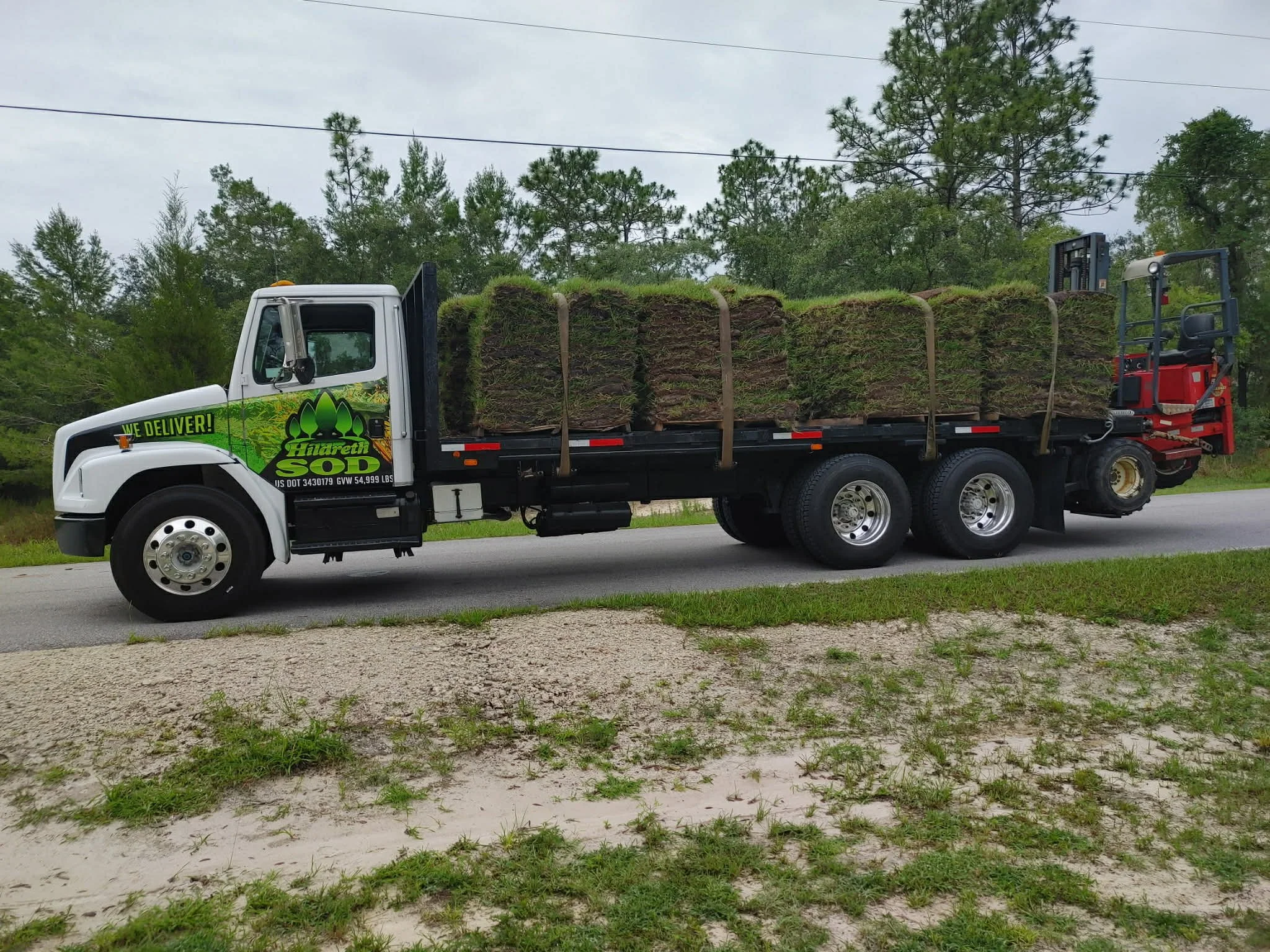A white and black flatbed truck carrying landscaping sod rolls on a road with trees and power lines in the background.