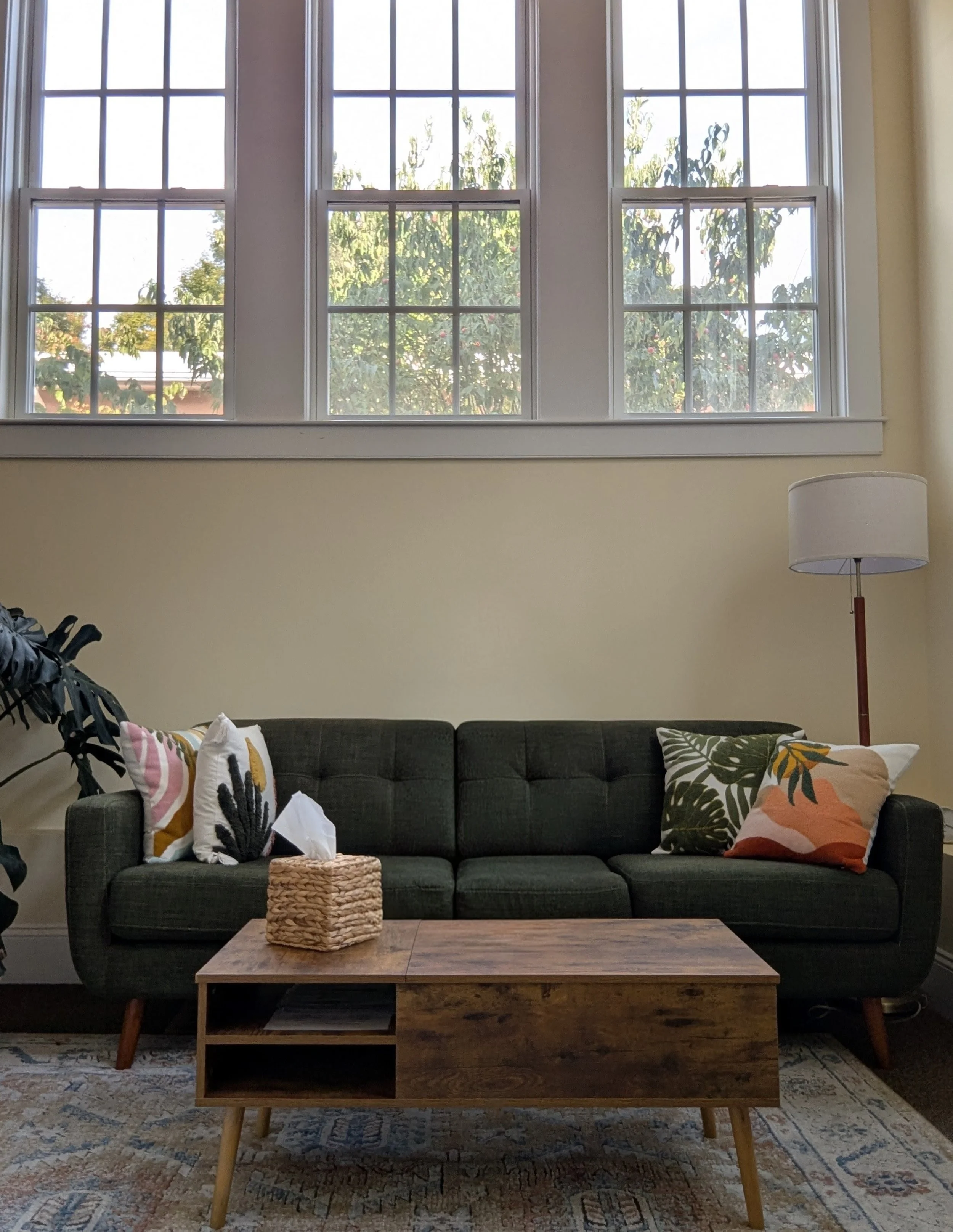 Living room with large windows, dark green sofa with colorful pillows, wooden coffee table, white tissue box, tall standing lamp, and area rug.