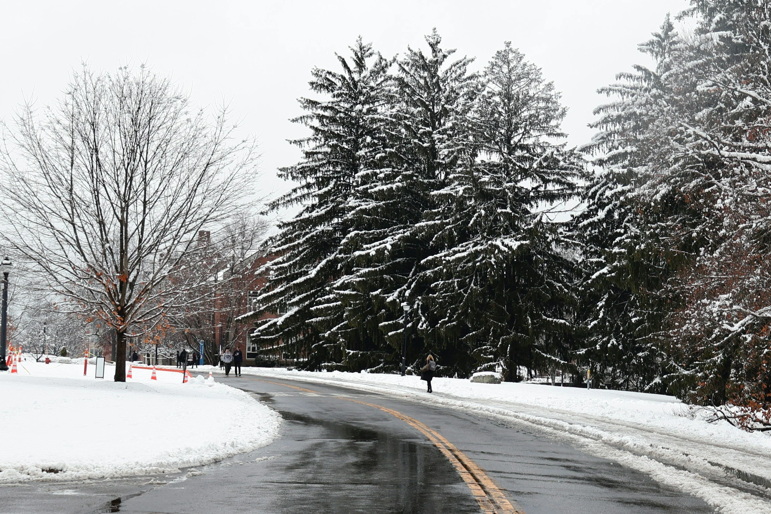 Snow-covered trees line a street with pedestrians and orange traffic cones in a winter scene.