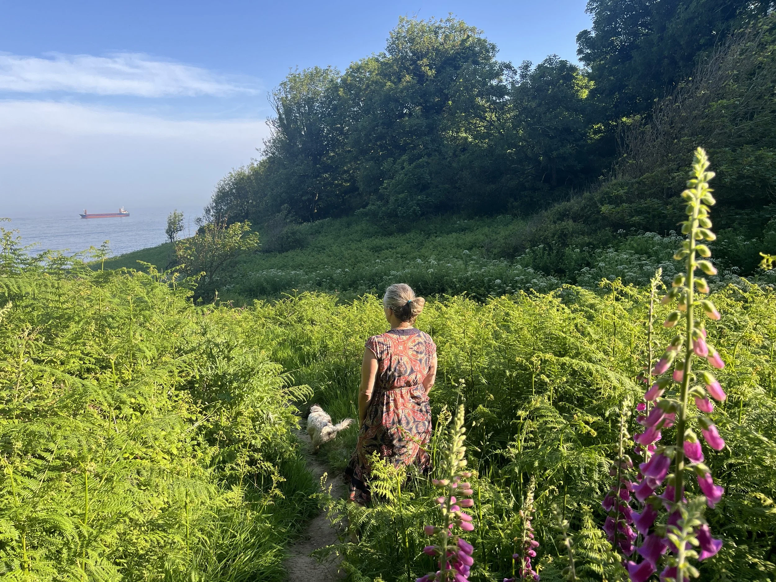 Grieving someone who is still here: understanding ambiguous loss