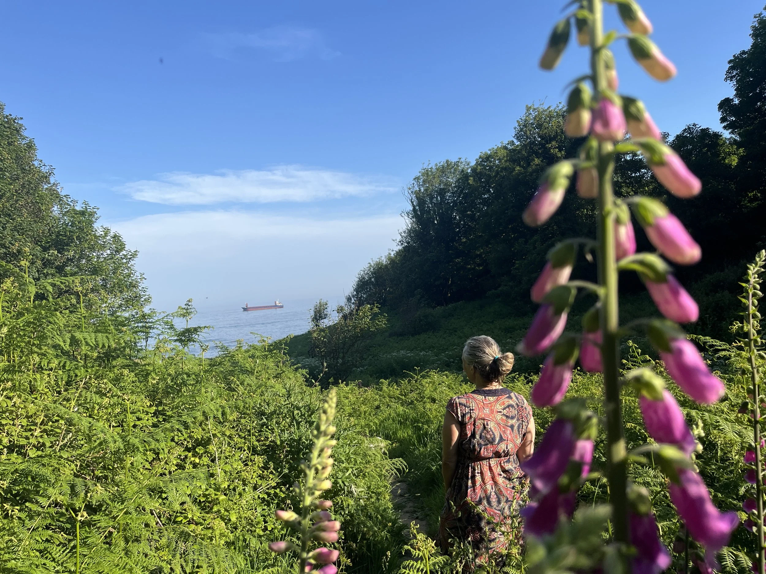 Woman standing in a Cornwall woodland looking out to sea, contemplative