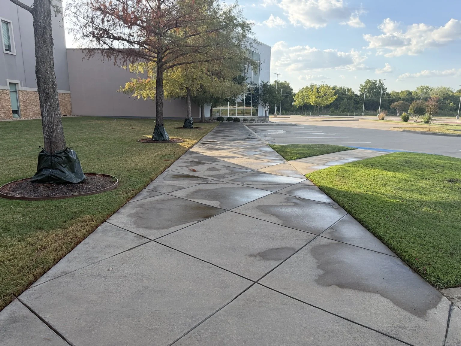 After: front walkway cleaned by 76 Surface Care, with wet areas still drying.