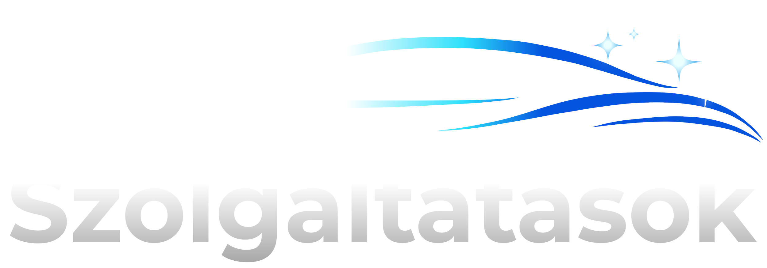 A logo featuring a stylized wave with blue gradient shades and sparkles, with partially visible large white text at the bottom reading 'szolgáltatásk'.