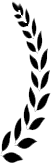 A gray and white domestic cat sitting on a black surface looking directly at the camera.