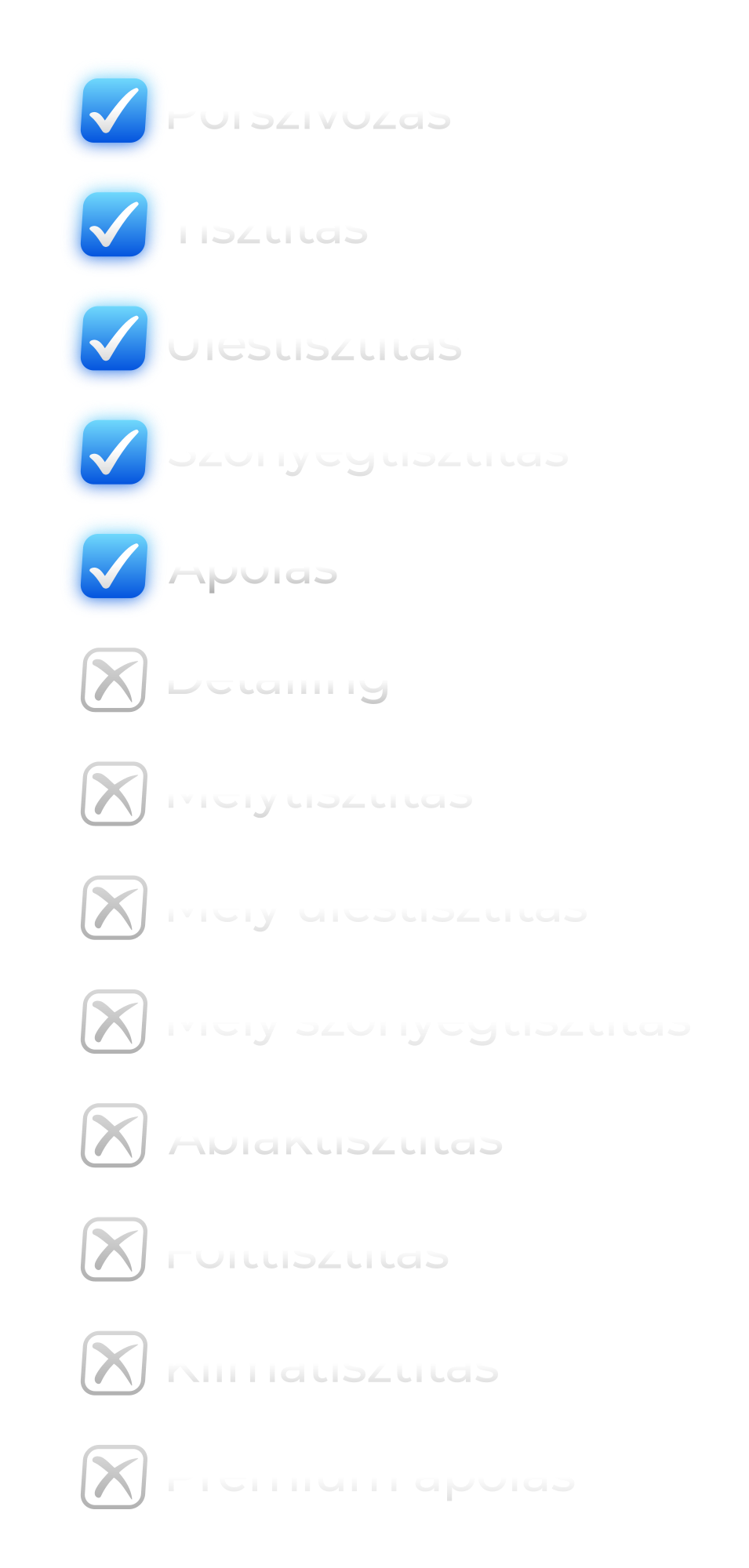 A checklist with six items, each marked with a blue checkmark, and four additional gray items below that are not checked.