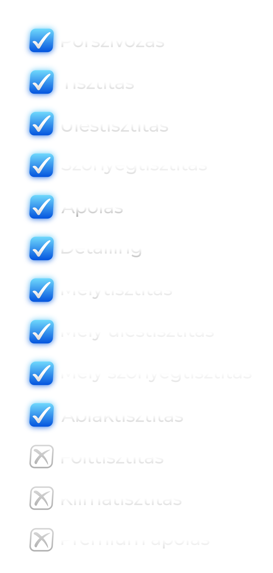 A checklist with blue checkmarks next to each item, and several sections with text, some of which are blurred.