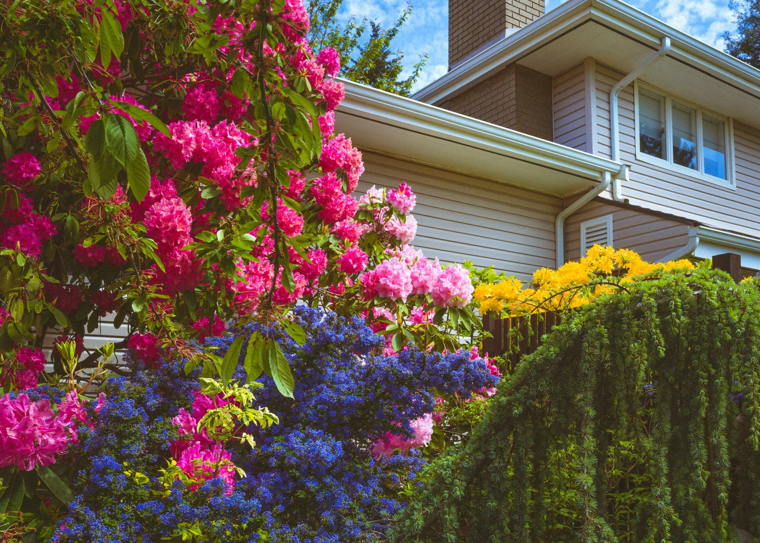A house with beige siding and a brick section, surrounded by colorful pink, purple, yellow, and green flowering plants and bushes, under a partly cloudy blue sky.