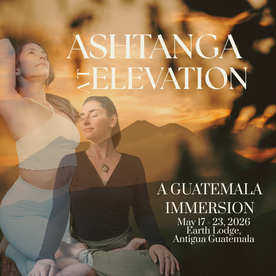 mysore tampa bay international yoga retreat guatemala flyer
