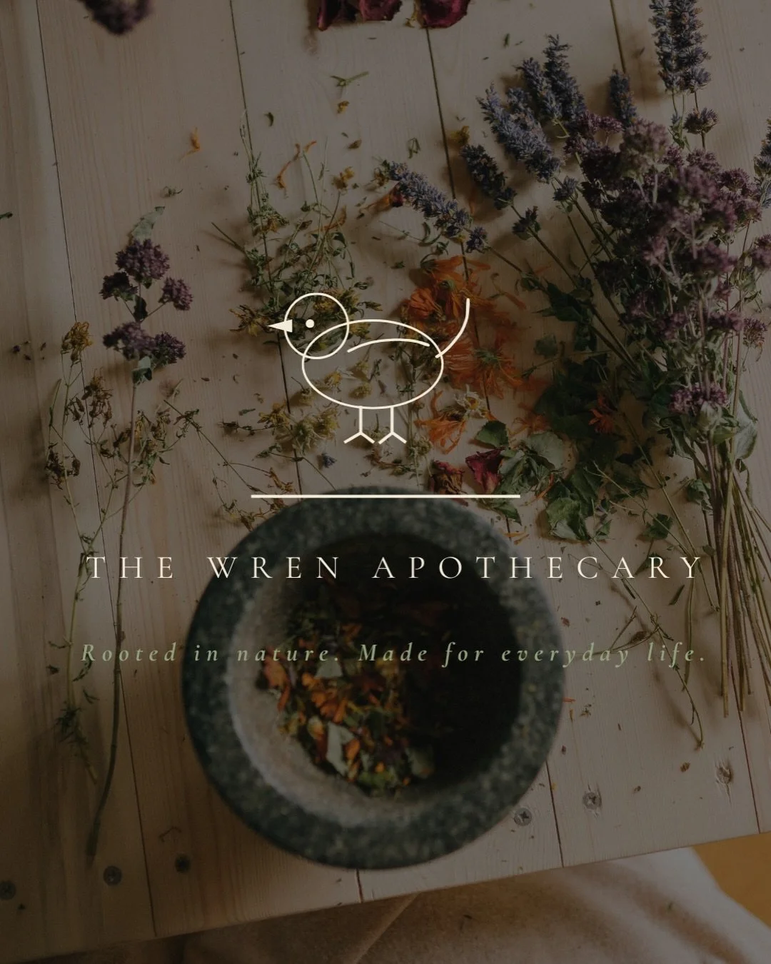 The Wren Apothecary was created for the woman who treats her health as a ritual. 🌿

A small-batch herbalist brand rooted in slow living and plant-based wellness - where every product feels as intentional as the life it supports.

The brief - feel tr