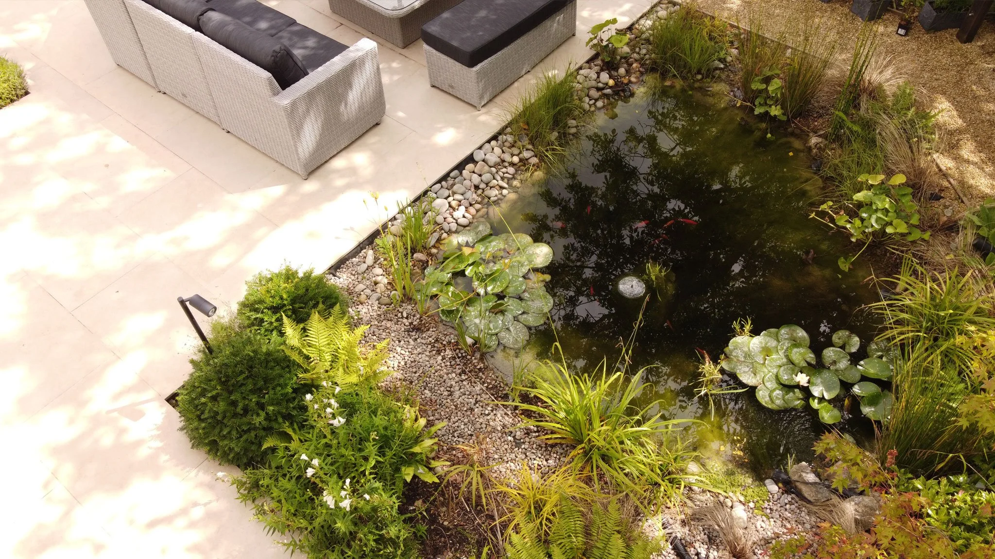 Wild pond - Contemporary Paving 