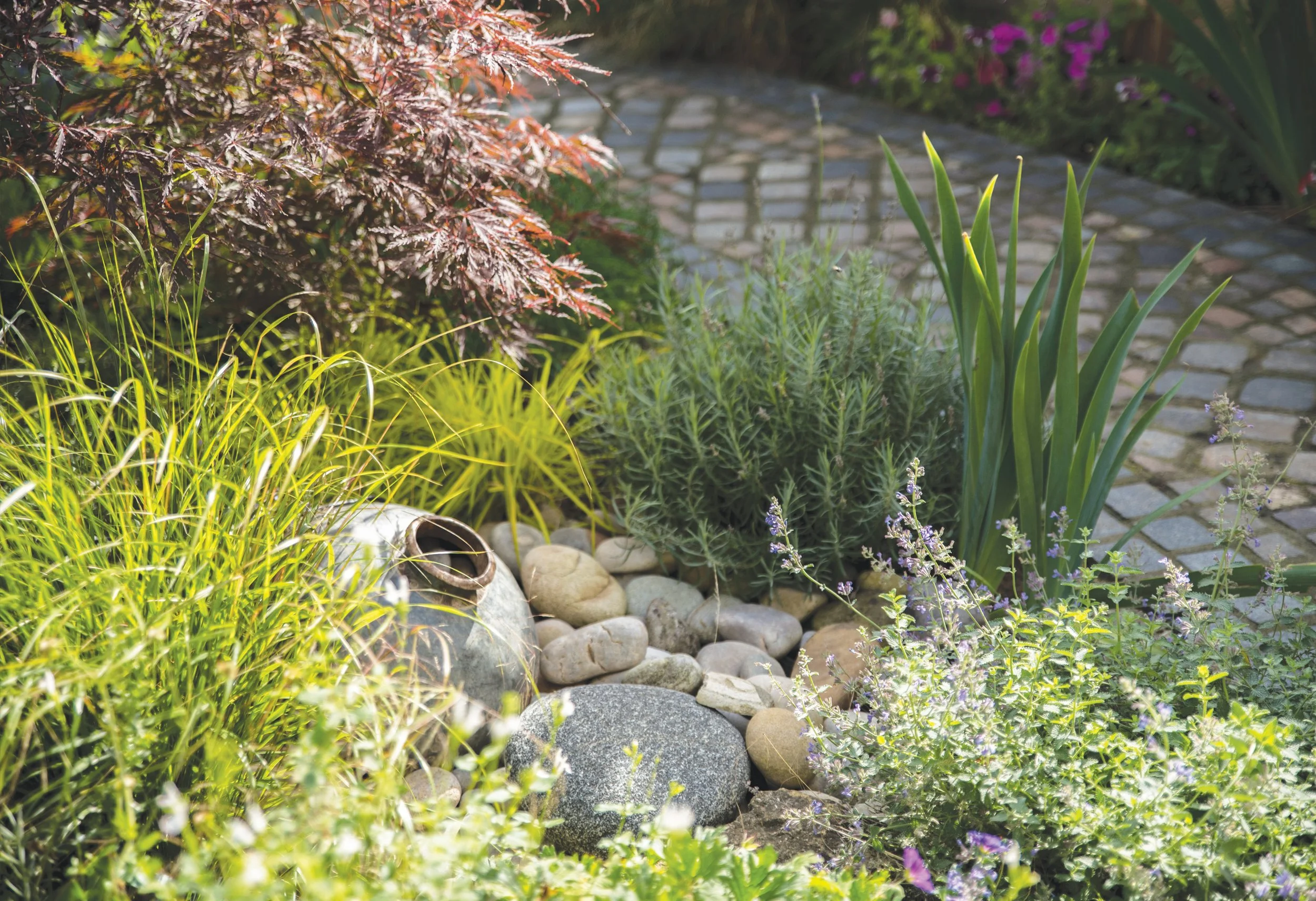 Small water feature surrounded by grasses, Japanese maple and layered planting.