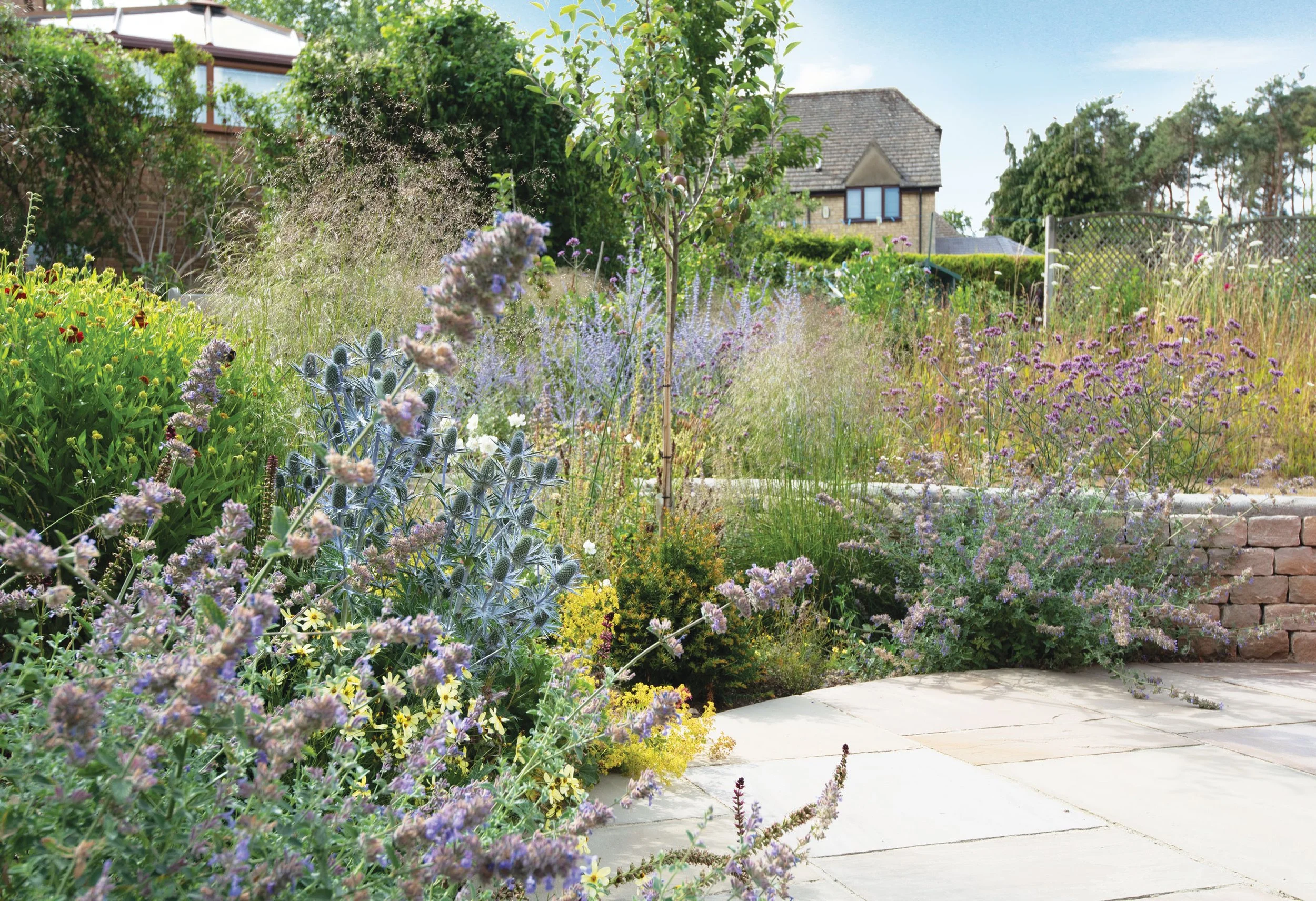 Mixed perennial planting surrounding the curved terrace, combining soft grasses, flowering perennials and structural shrubs.