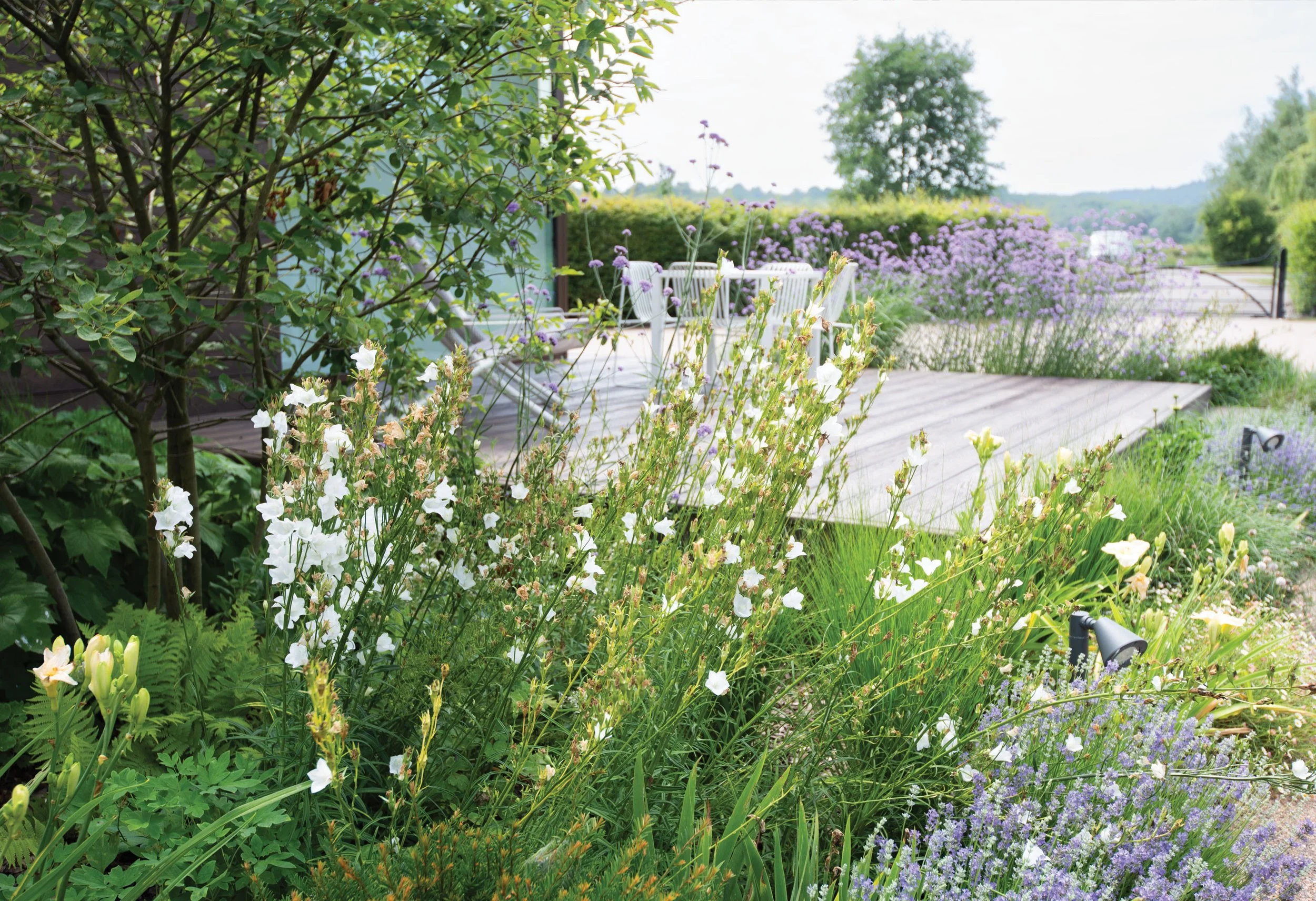 Timber terrace surrounded by loose, long-flowering planting designed for a relaxed, low-maintenance holiday garden.