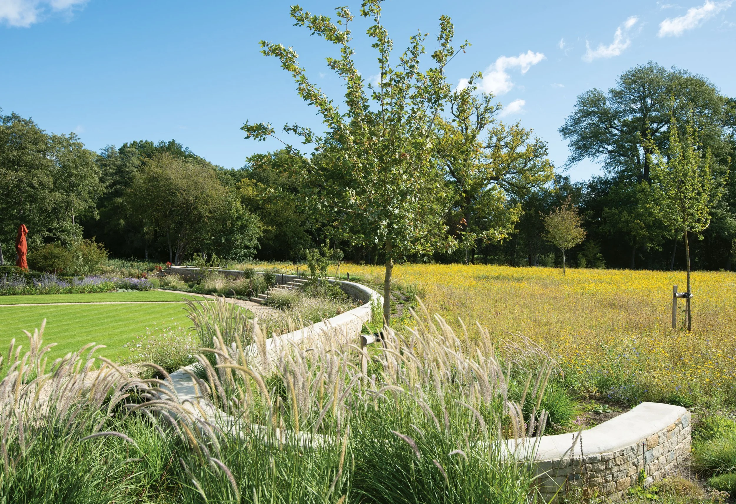 Curved wall moves around field maples