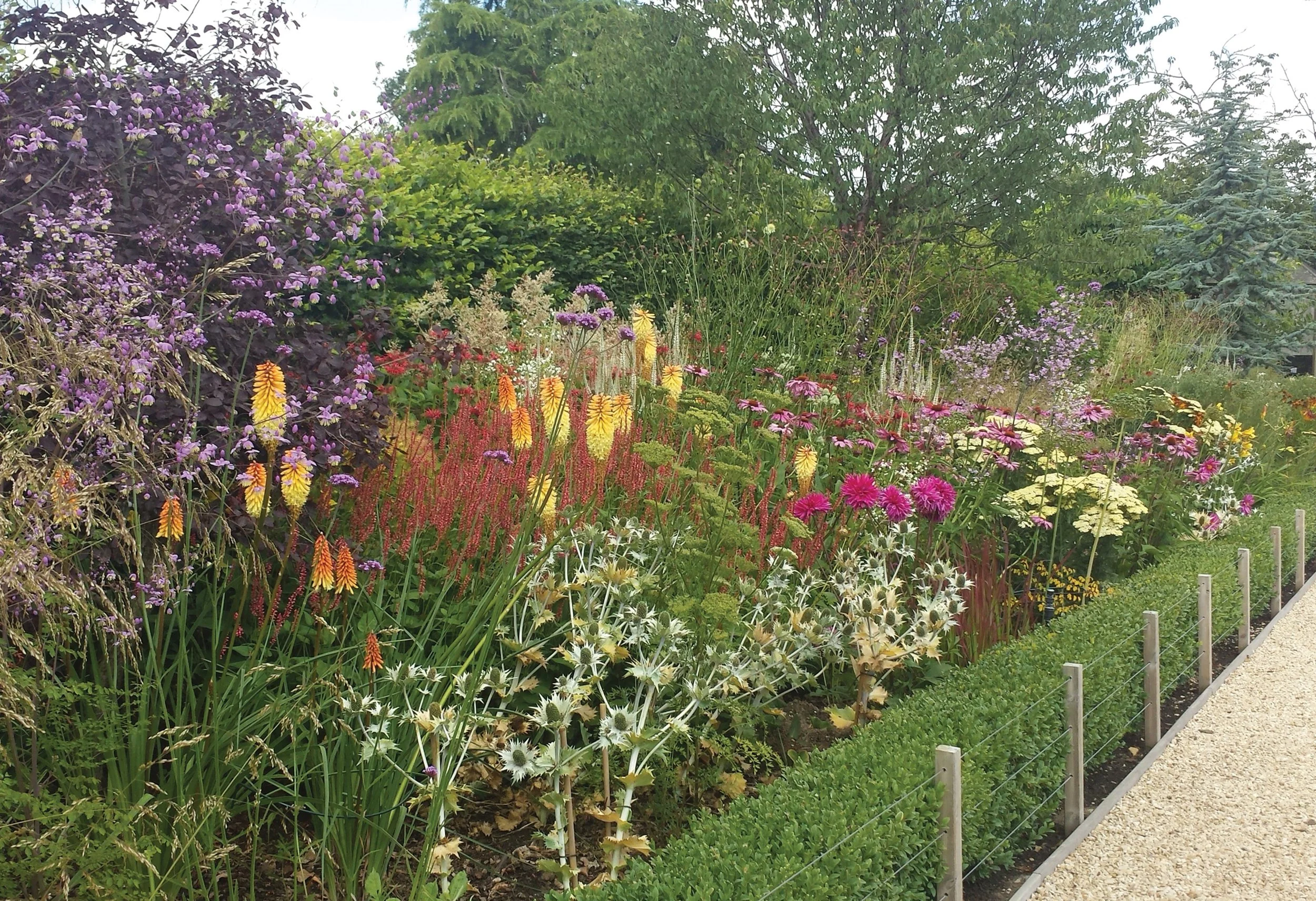 Vibrant summer border combining red-hot pokers, dahlias, Phlomis and richly coloured perennial planting.