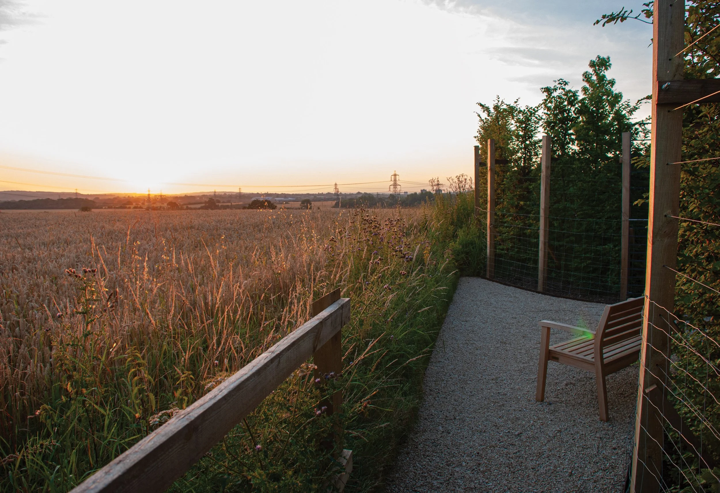 Sunset seating beyond the new beech hedge, opening the garden towards views across the surrounding Oxfordshire fields.
