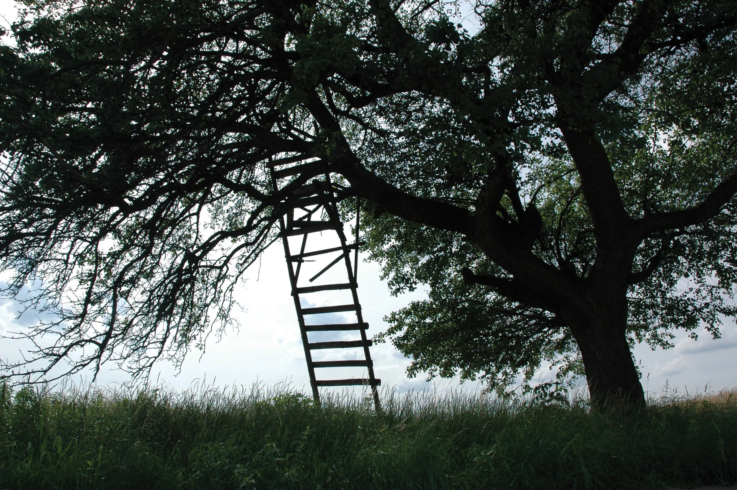 Ladder for Fruit Picking, Czechia