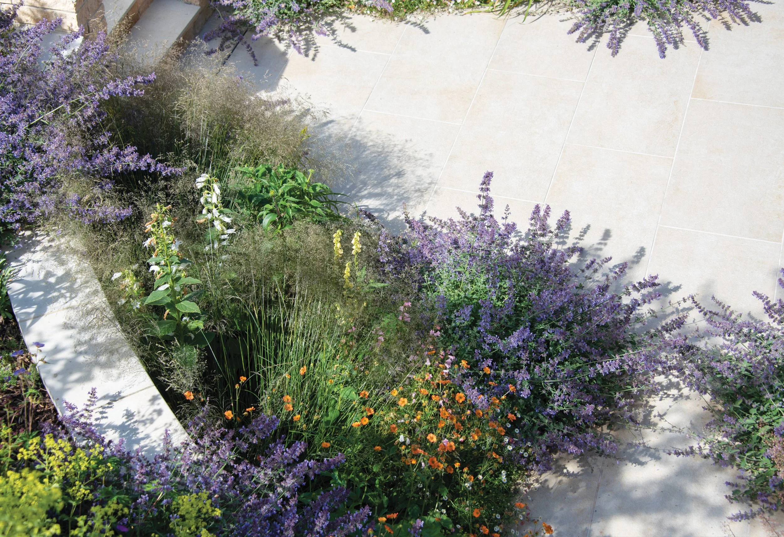 Sunlight and shadow across naturalistic perennial planting beside the pale porcelain terrace - Golden Stone from London Stone.