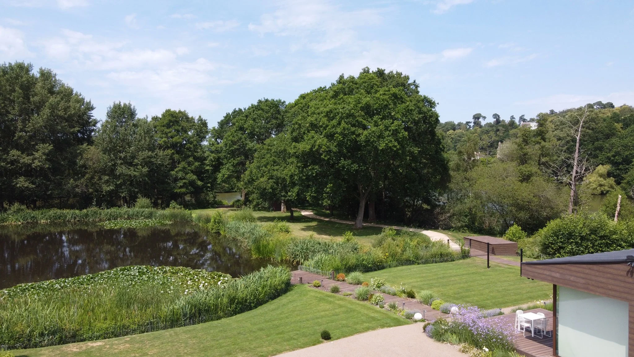 View across the fishing lake and waterside vegetation towards the lawn and garden at The Fishing Lodge.