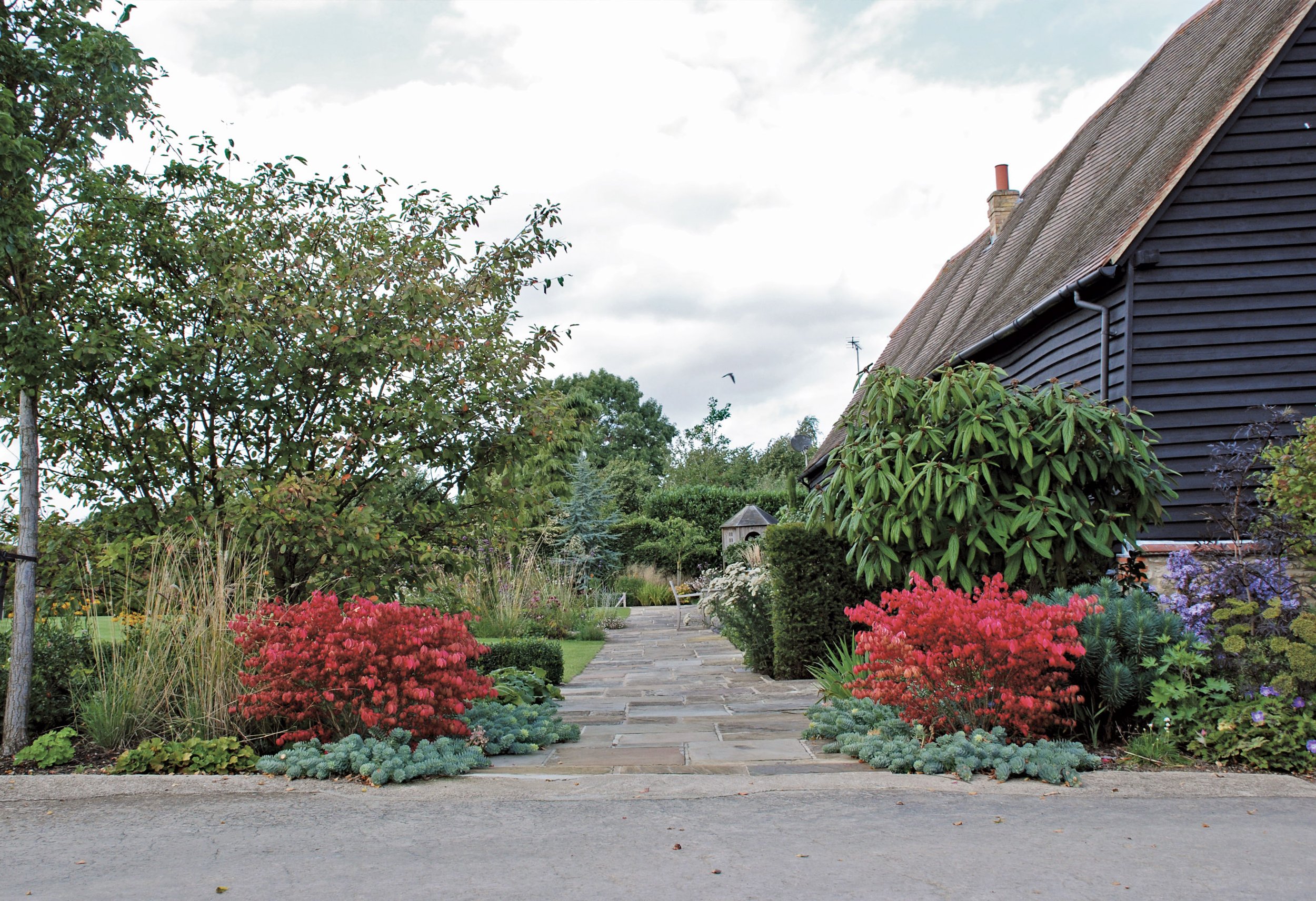 Autumn colour from Euonymus alatus contrasted with evergreen Euphorbia spilling across the York stone paving.
