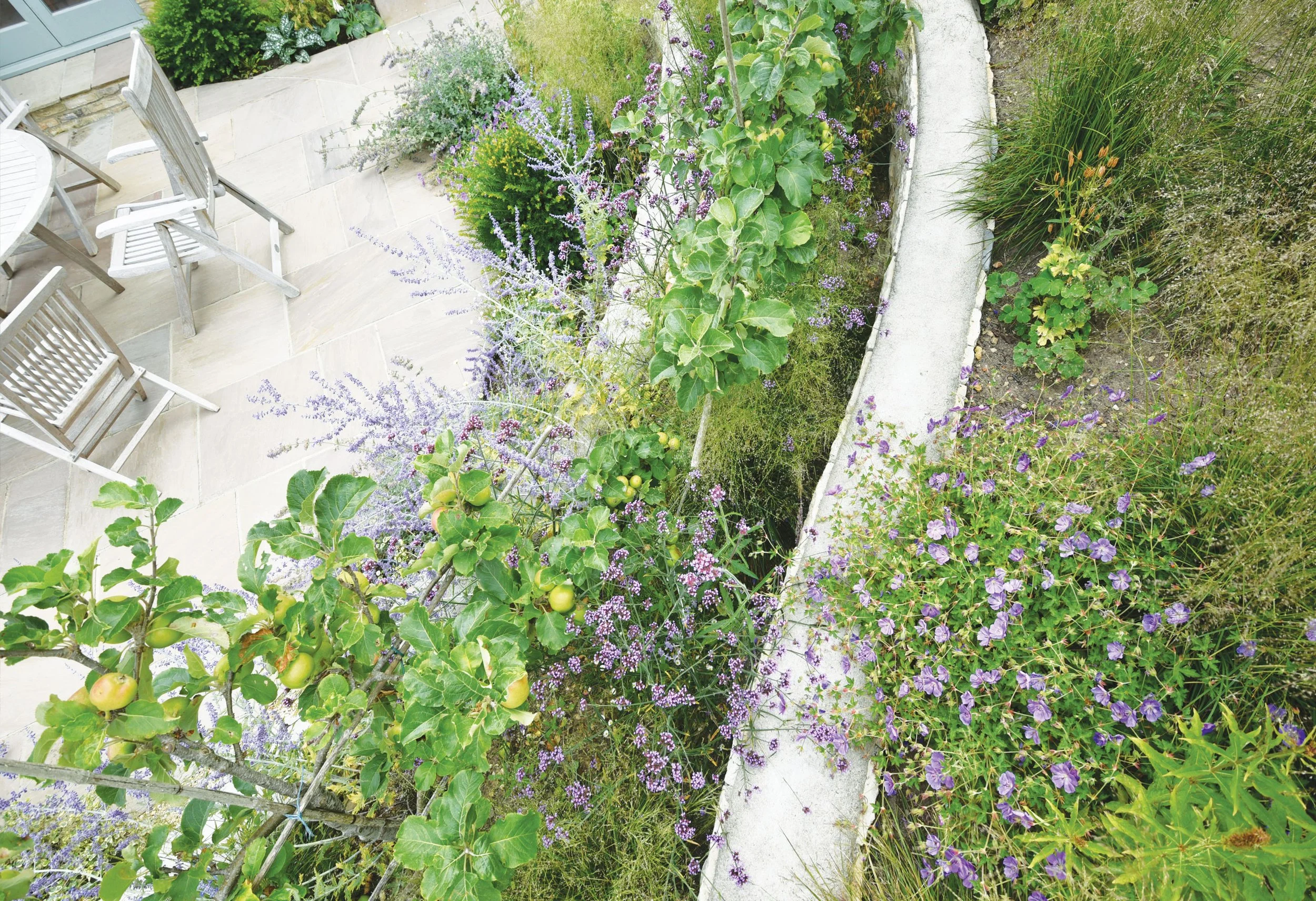 Overhead detail of layered planting spilling across the curved walls and terraces of the garden.