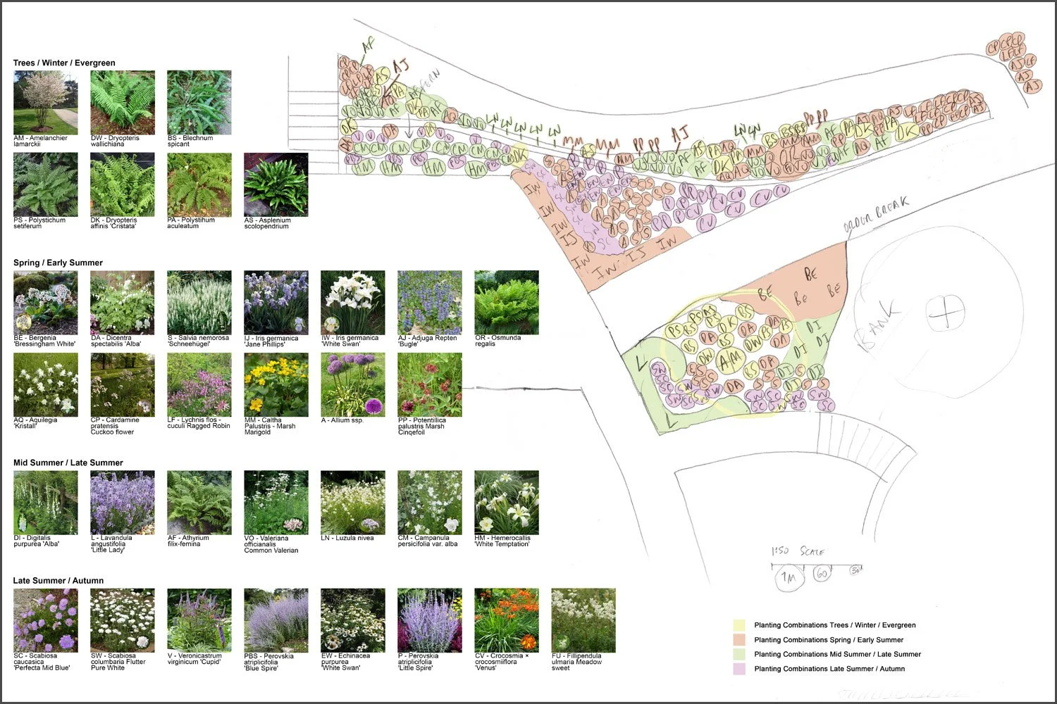 Detailed hand-drawn planting plan by Doug Holloway, specifying individual plants and illustrating seasonal interest through spring, summer and autumn.