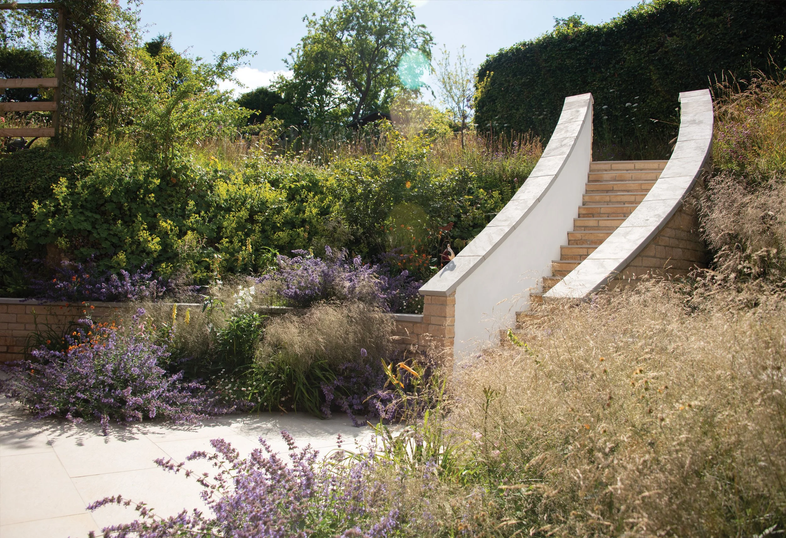 Curved stone steps emerging through abundant perennial planting towards the upper garden. Architecture and planting merging together.