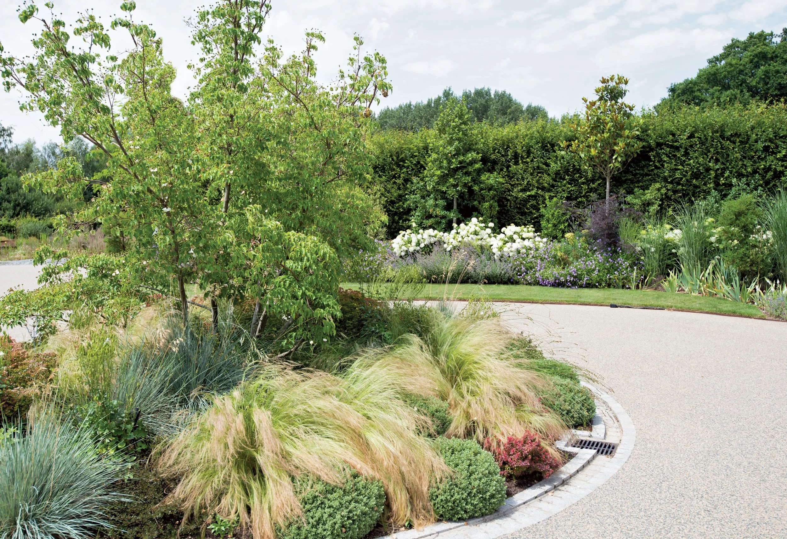 Evergreen Planting Grasses and rounded shrubs intermingle around Cornus China Girl